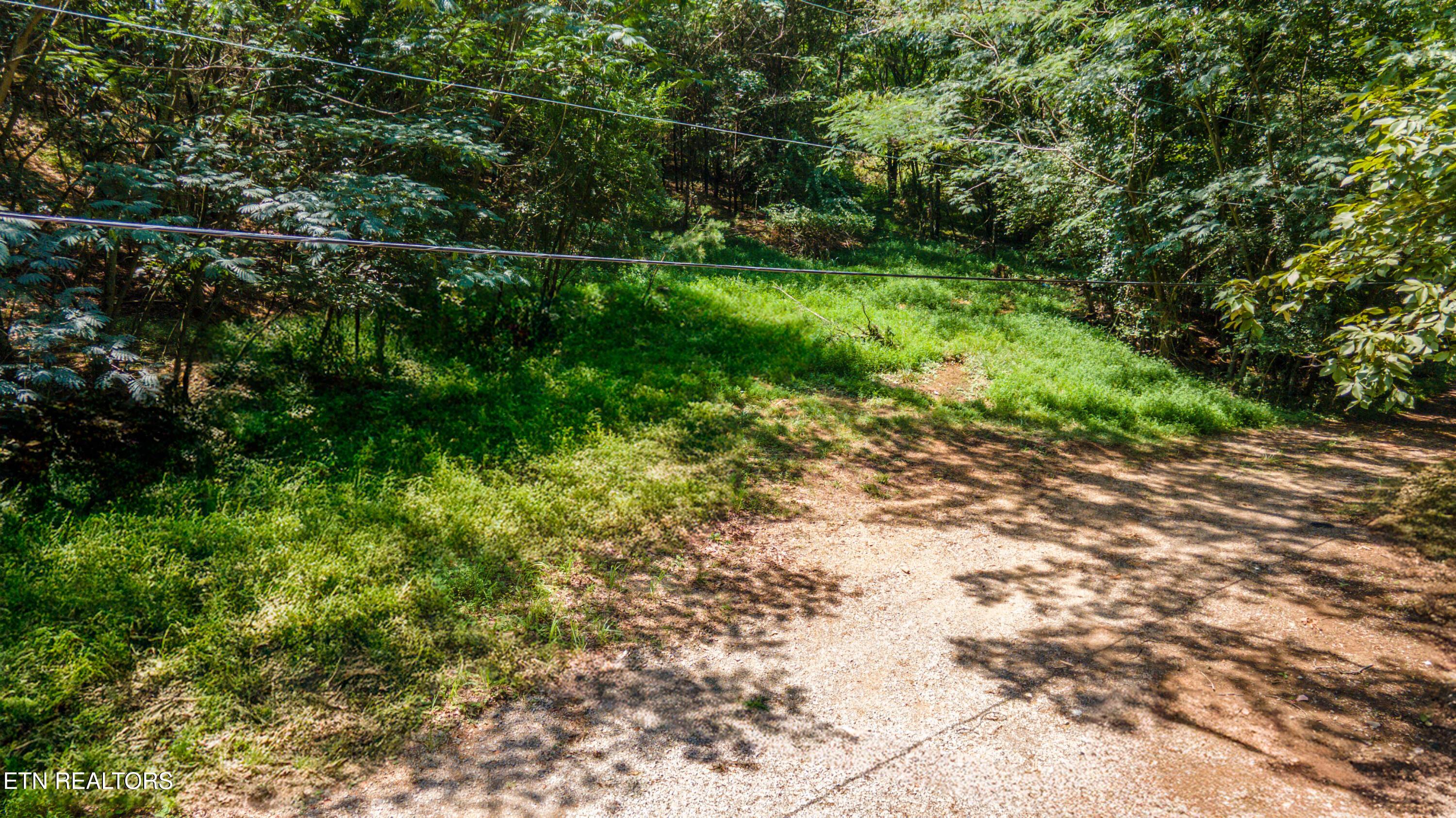 12116 Henry Frye Way, Knoxville, TN - Fort Loudoun and Tellico Lake Real Estate - Image# 7
