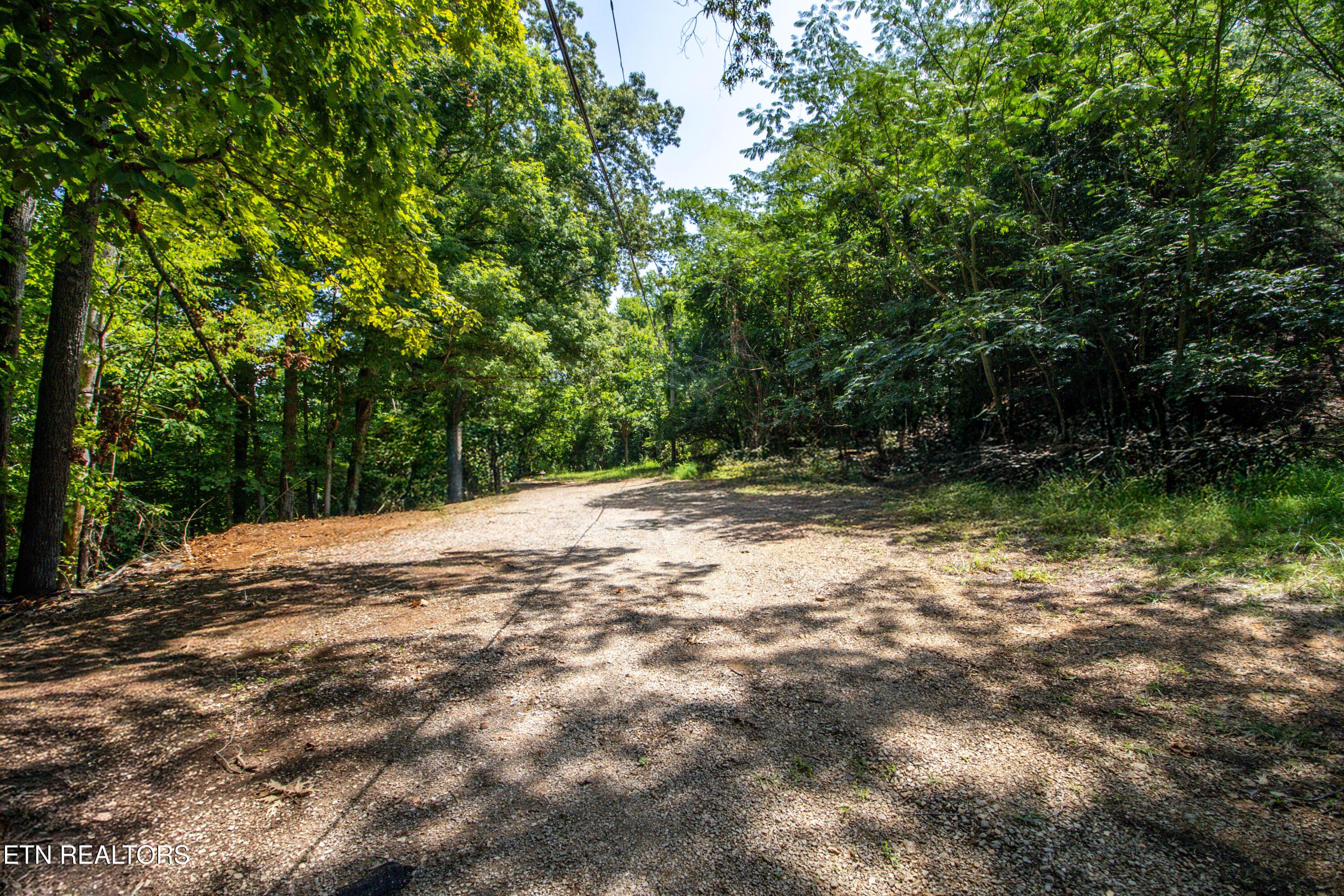 12116 Henry Frye Way, Knoxville, TN - Fort Loudoun and Tellico Lake Real Estate - Image# 8