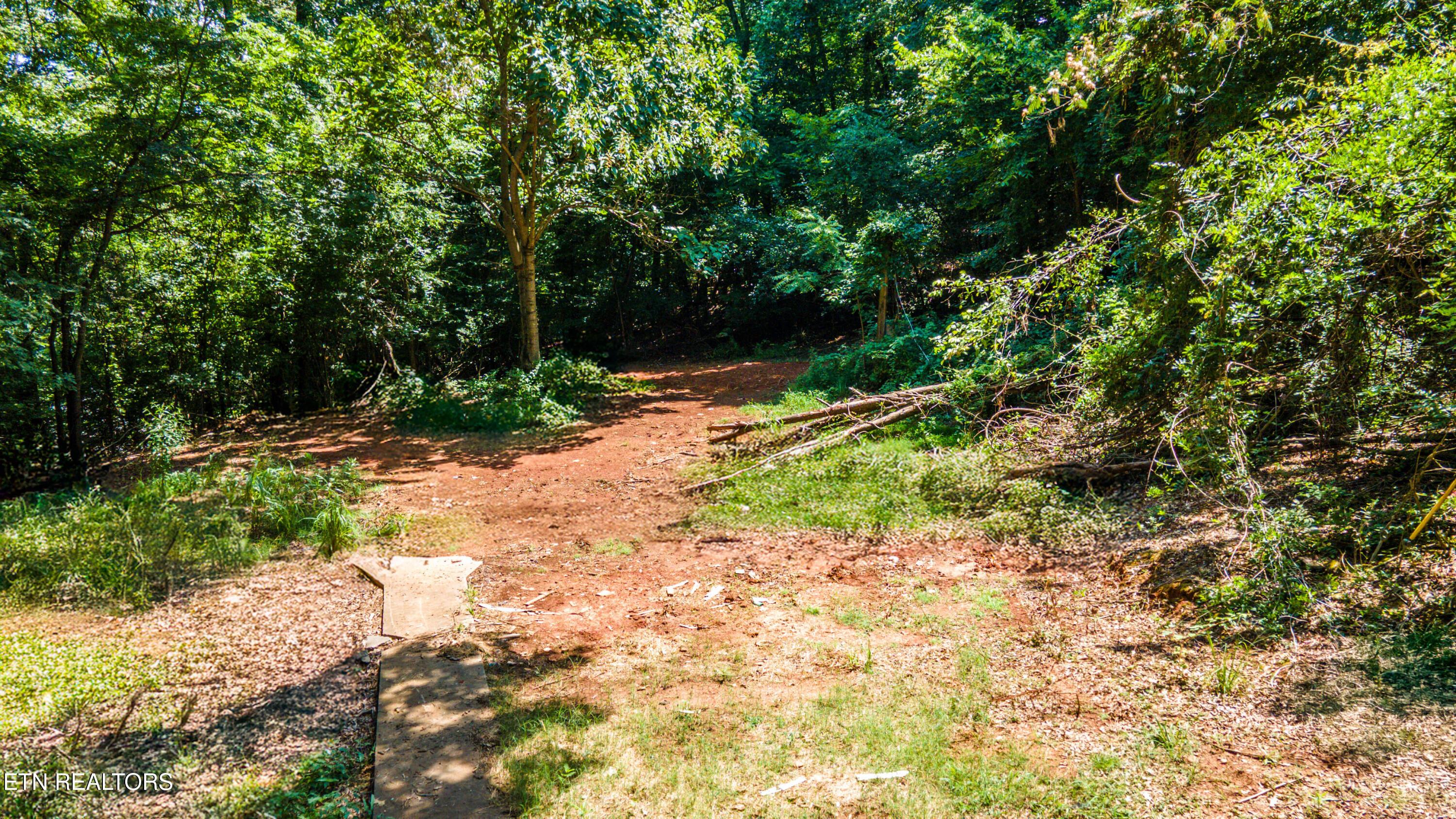 12116 Henry Frye Way, Knoxville, TN - Fort Loudoun and Tellico Lake Real Estate - Image# 10