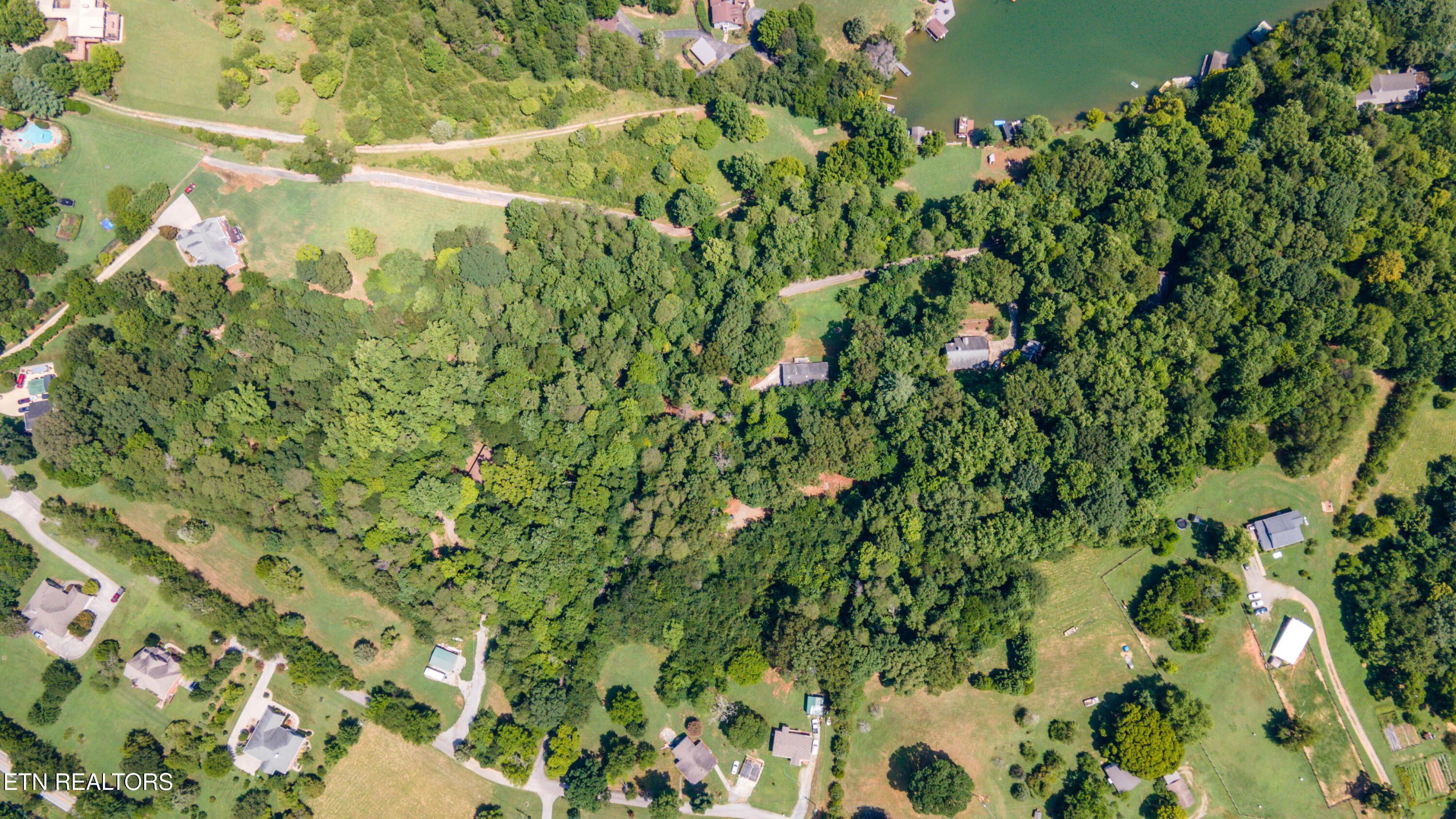 12116 Henry Frye Way, Knoxville, TN - Fort Loudoun and Tellico Lake Real Estate - Image# 12
