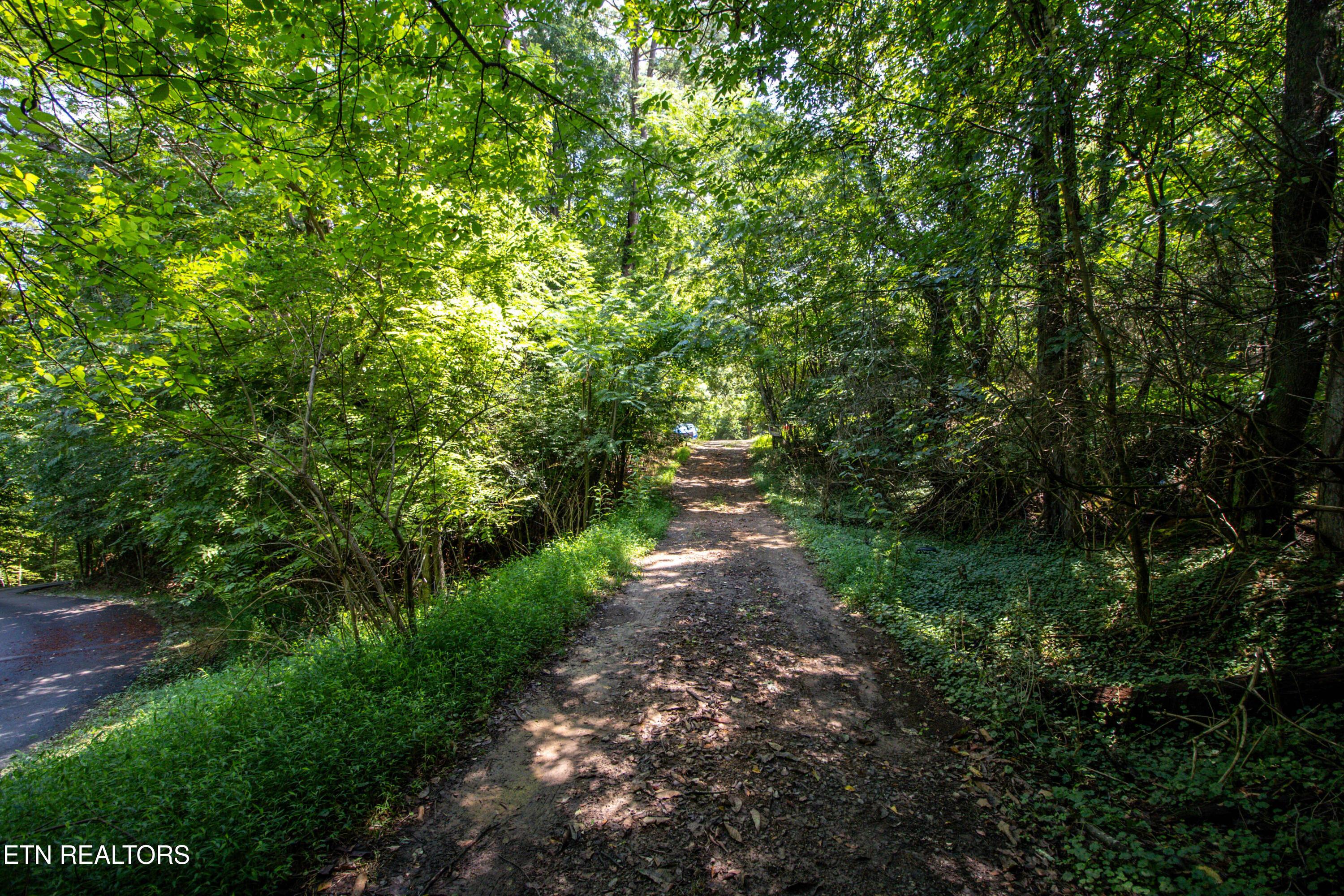 12116 Henry Frye Way, Knoxville, TN - Fort Loudoun and Tellico Lake Real Estate - Image# 16