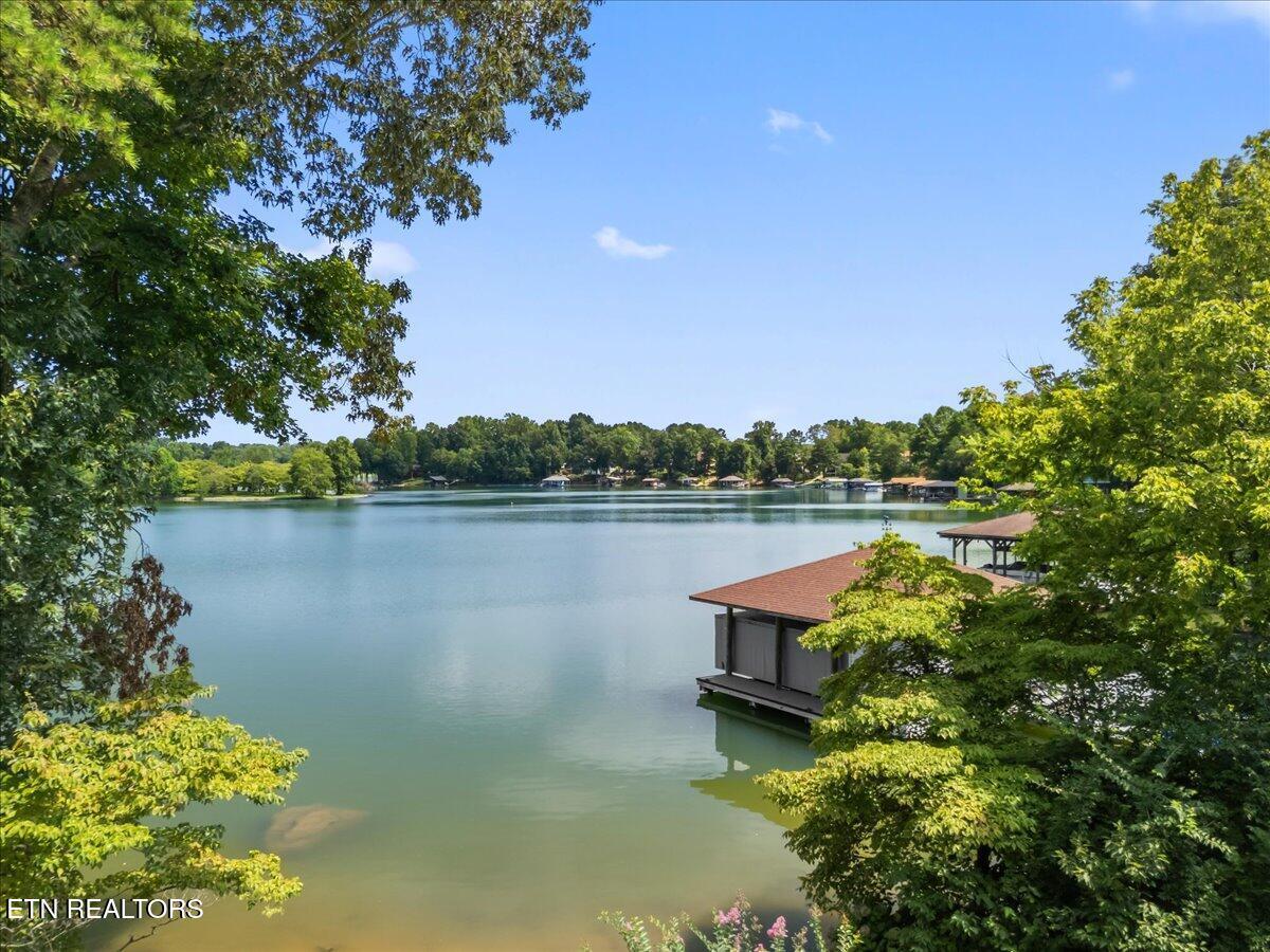 Fort Loudoun and Tellico Lake Real Estate - Image# 49