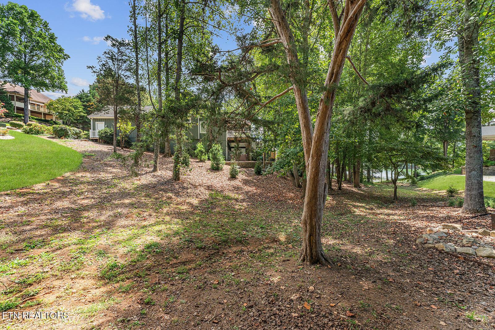 Fort Loudoun and Tellico Lake Real Estate - Image# 52