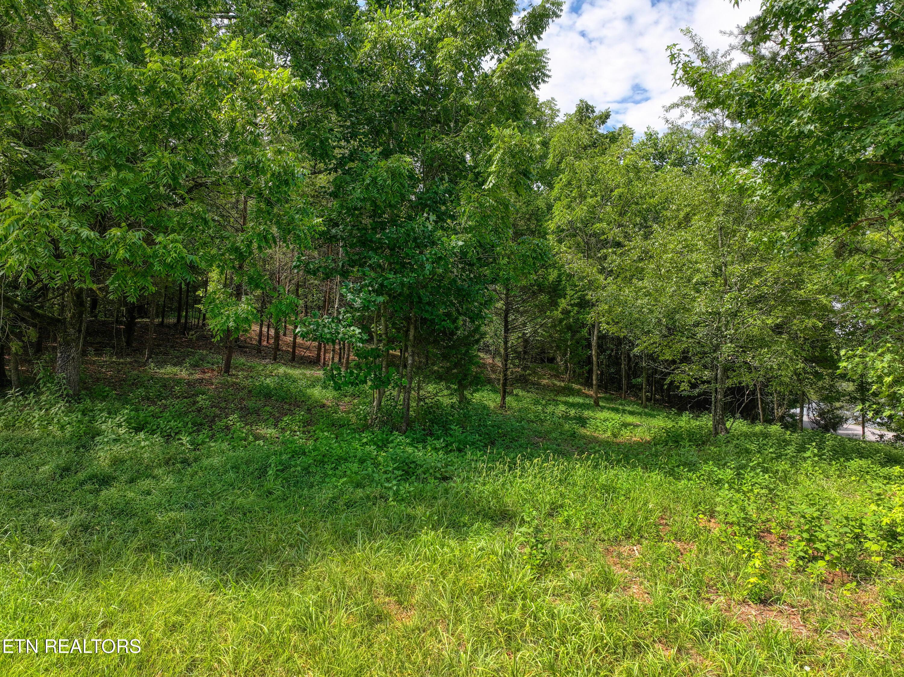 5980 Lakeside Drive, Lenoir City, TN - Fort Loudoun and Tellico Lake Real Estate - Image# 27