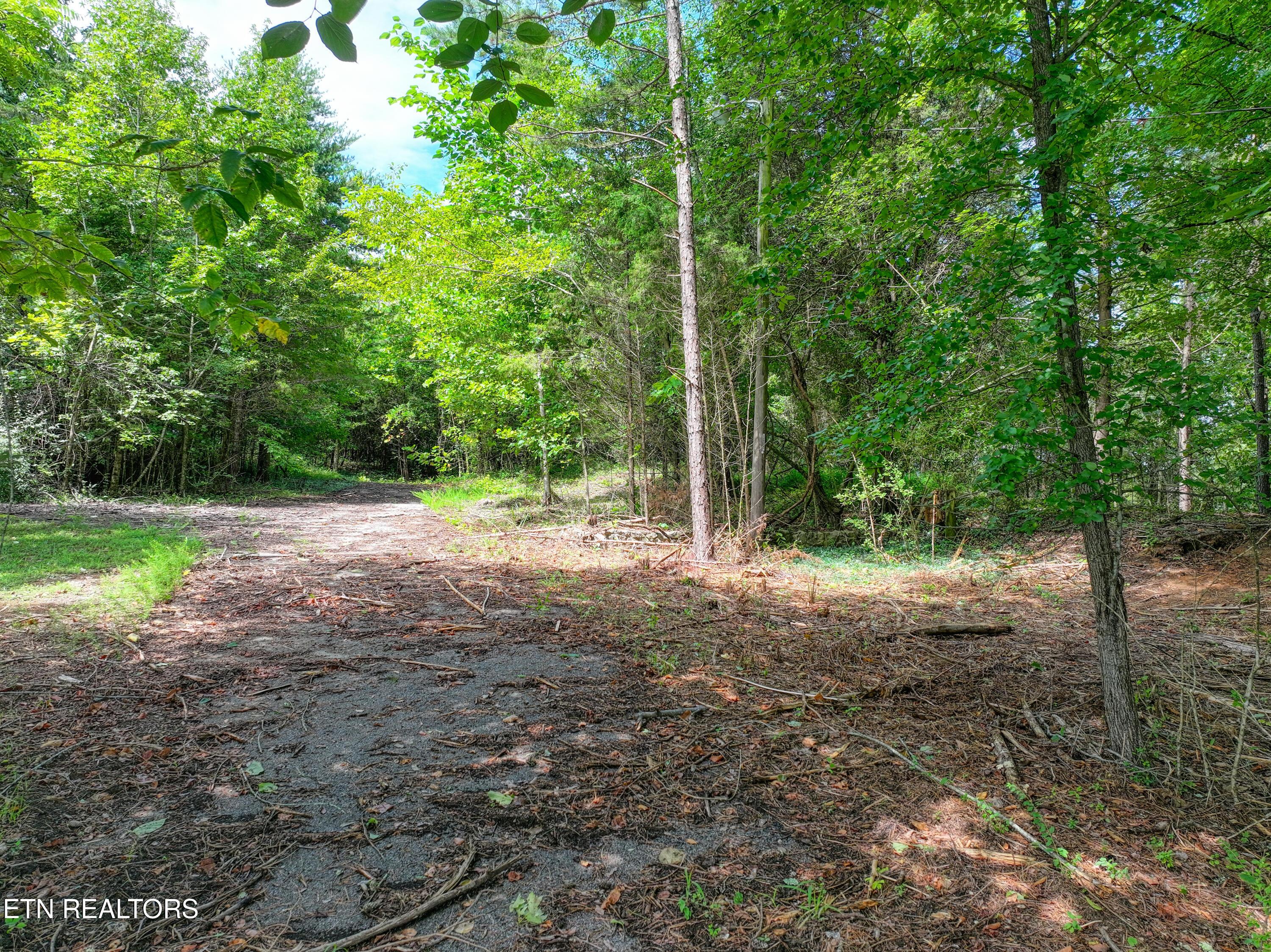 5980 Lakeside Drive, Lenoir City, TN - Fort Loudoun and Tellico Lake Real Estate - Image# 26