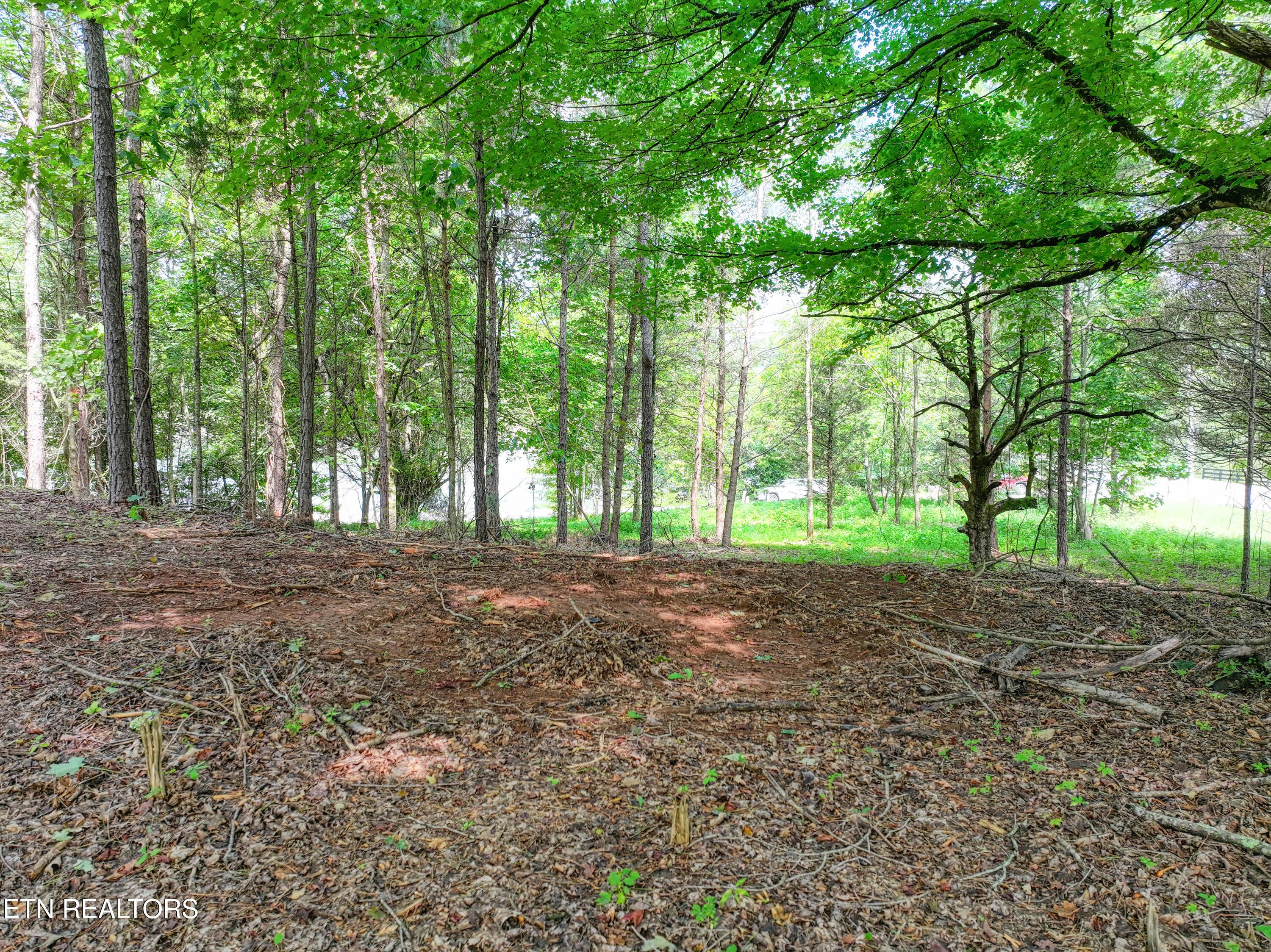 5980 Lakeside Drive, Lenoir City, TN - Fort Loudoun and Tellico Lake Real Estate - Image# 28