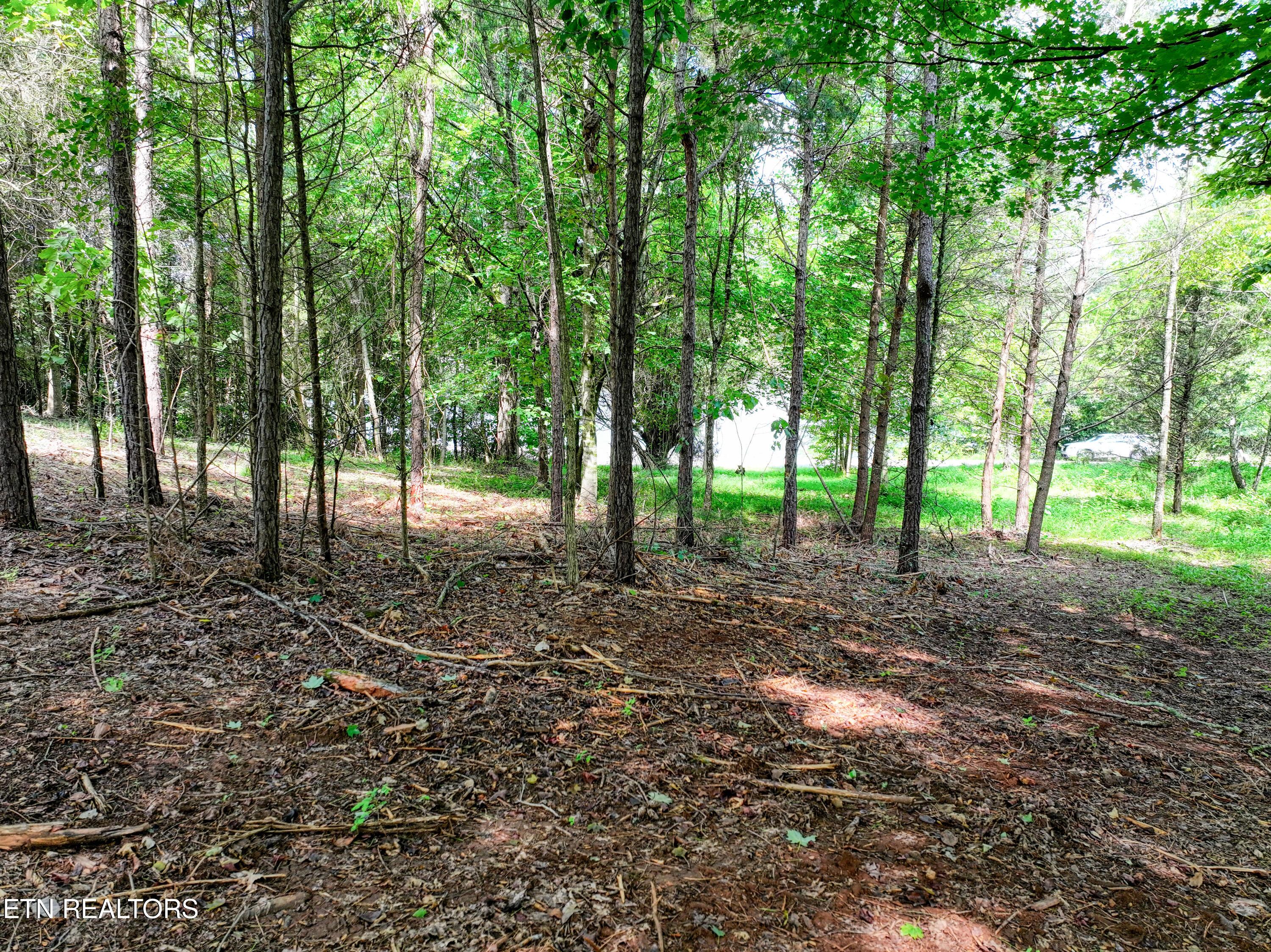 5980 Lakeside Drive, Lenoir City, TN - Fort Loudoun and Tellico Lake Real Estate - Image# 29