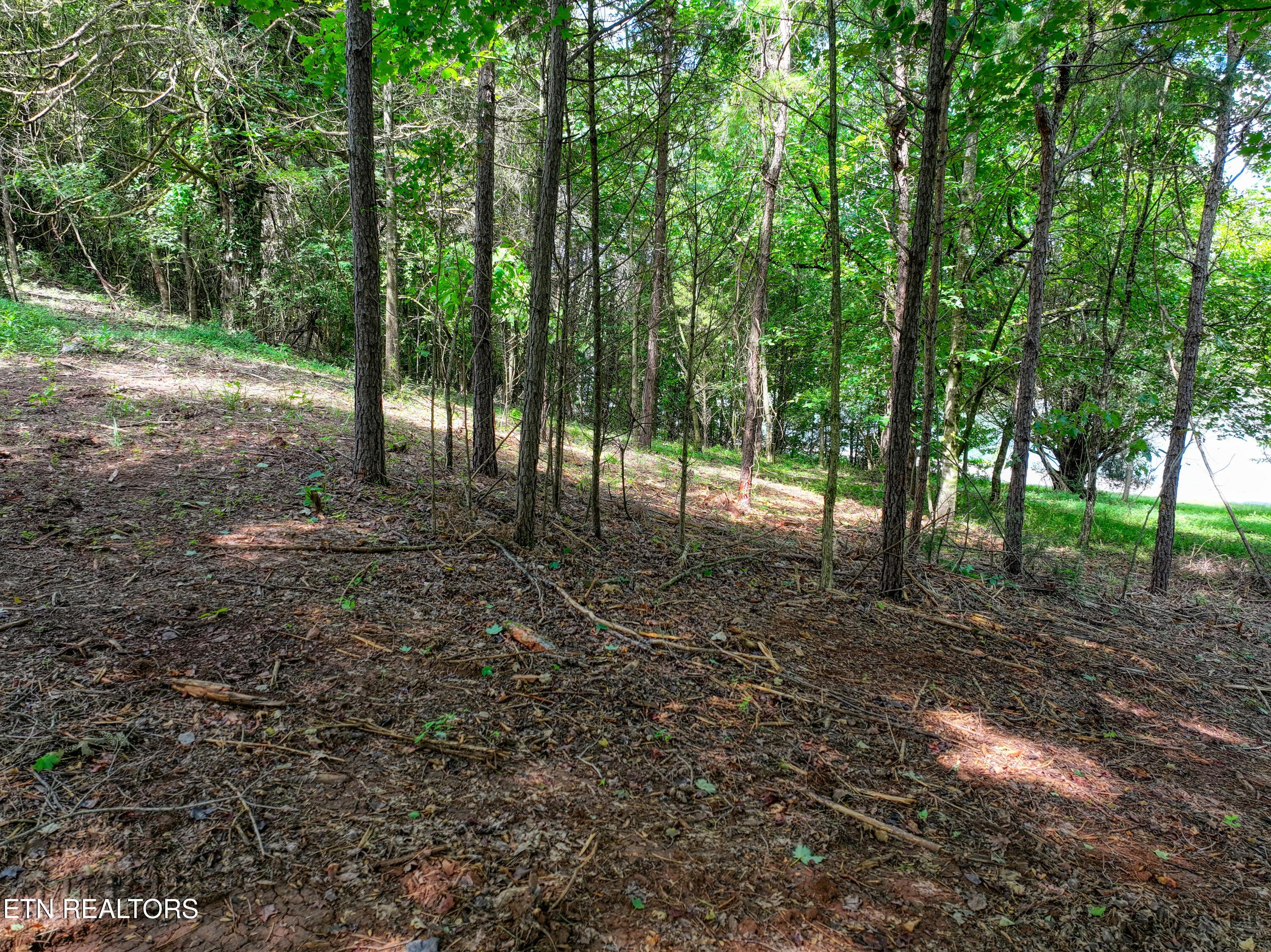 5980 Lakeside Drive, Lenoir City, TN - Fort Loudoun and Tellico Lake Real Estate - Image# 30