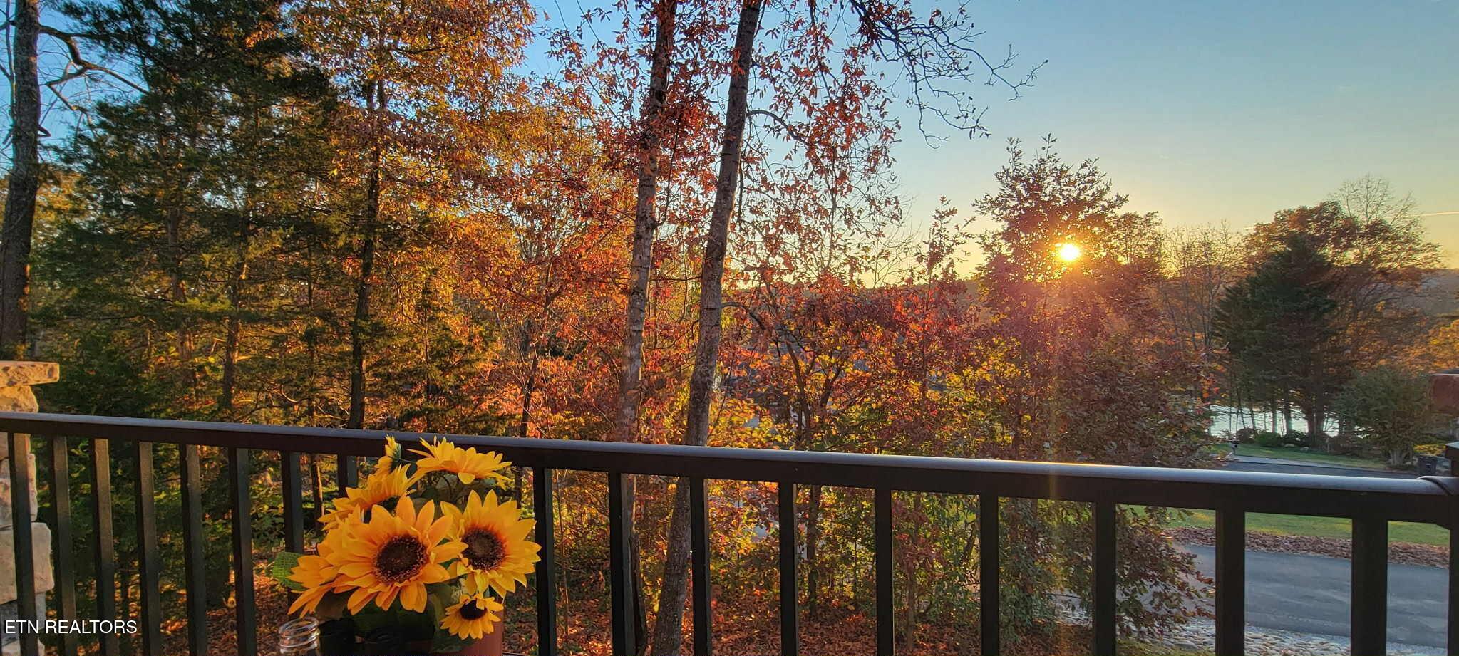 Fort Loudoun and Tellico Lake Real Estate - Image# 50