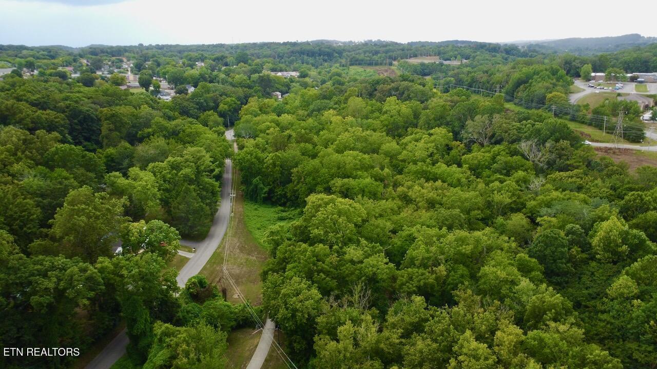 Martin Mill, Lenoir City, TN - Fort Loudoun and Tellico Lake Real Estate - Image# 5