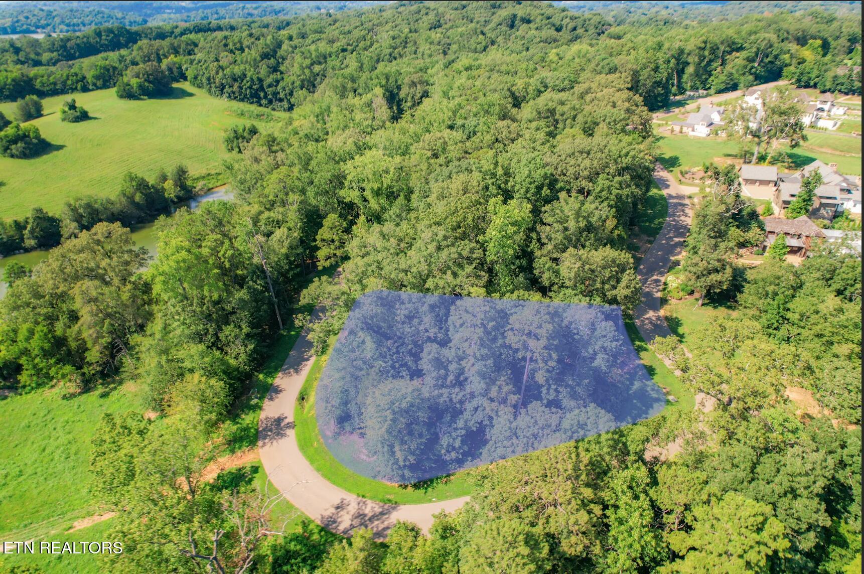 250 Arcadia Peninsula Way, Knoxville, TN - Fort Loudoun and Tellico Lake Real Estate - Image# 5
