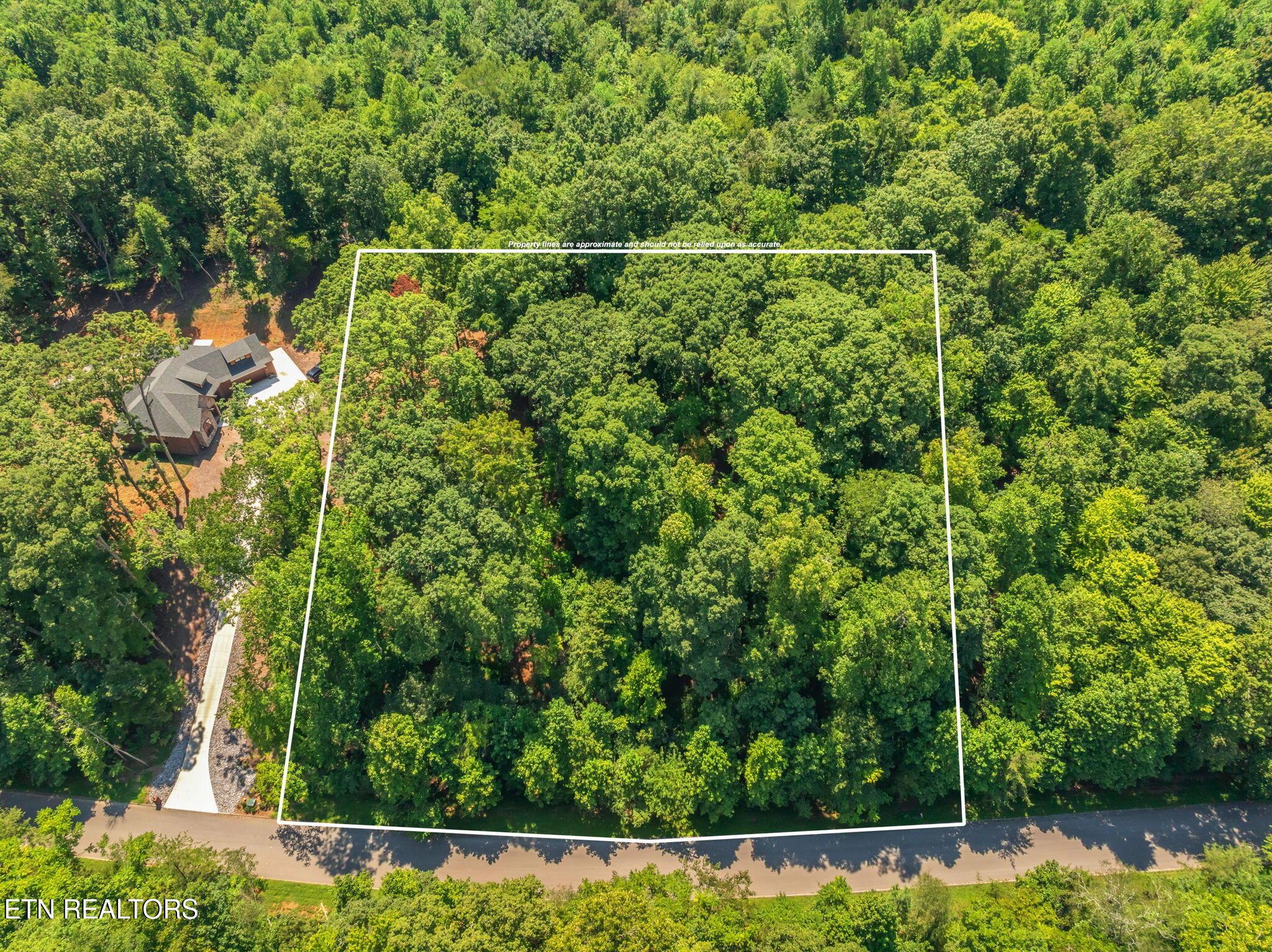 Fort Loudoun and Tellico Lake Real Estate - Image# 2