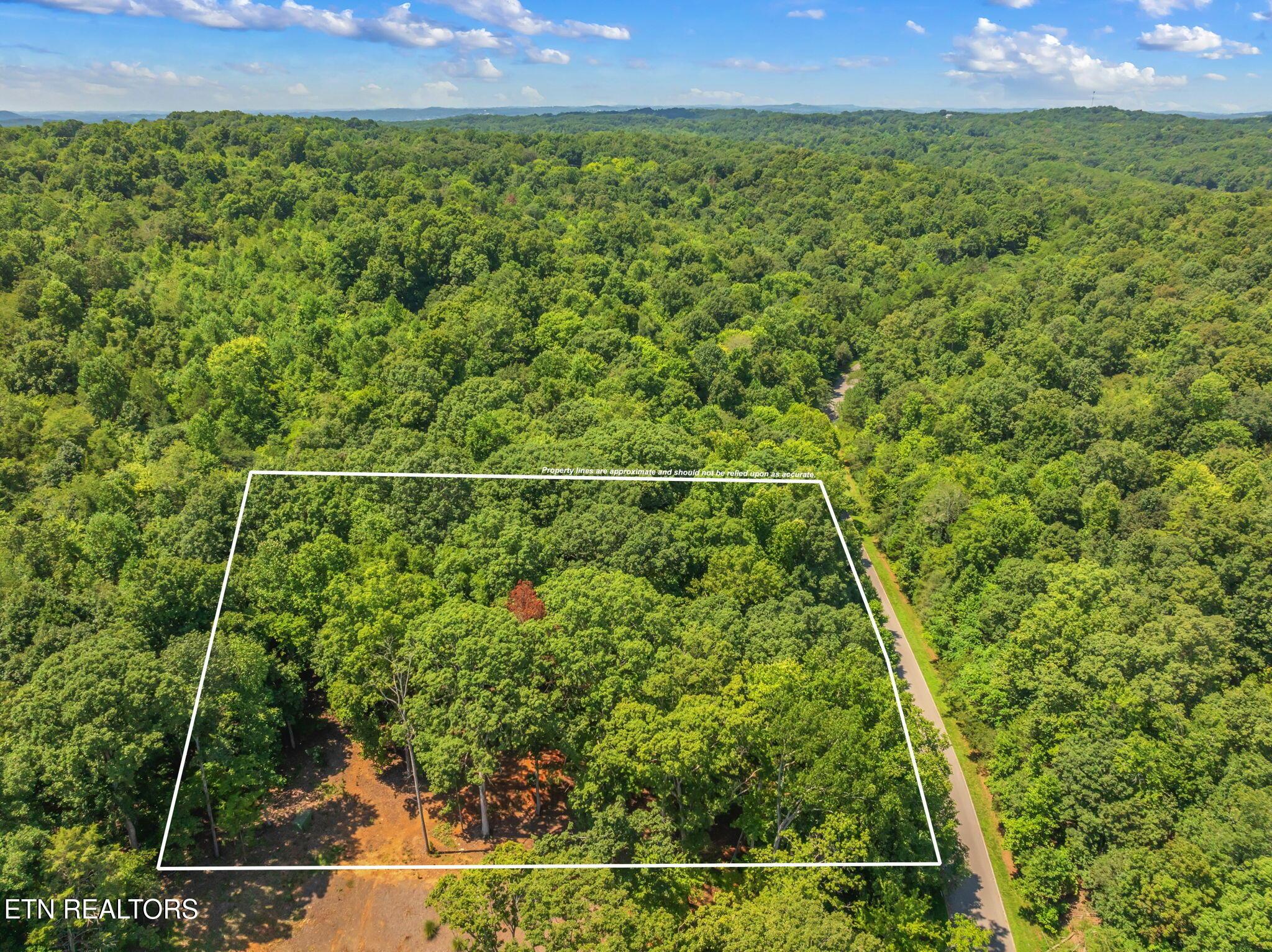 Fort Loudoun and Tellico Lake Real Estate - Image# 10