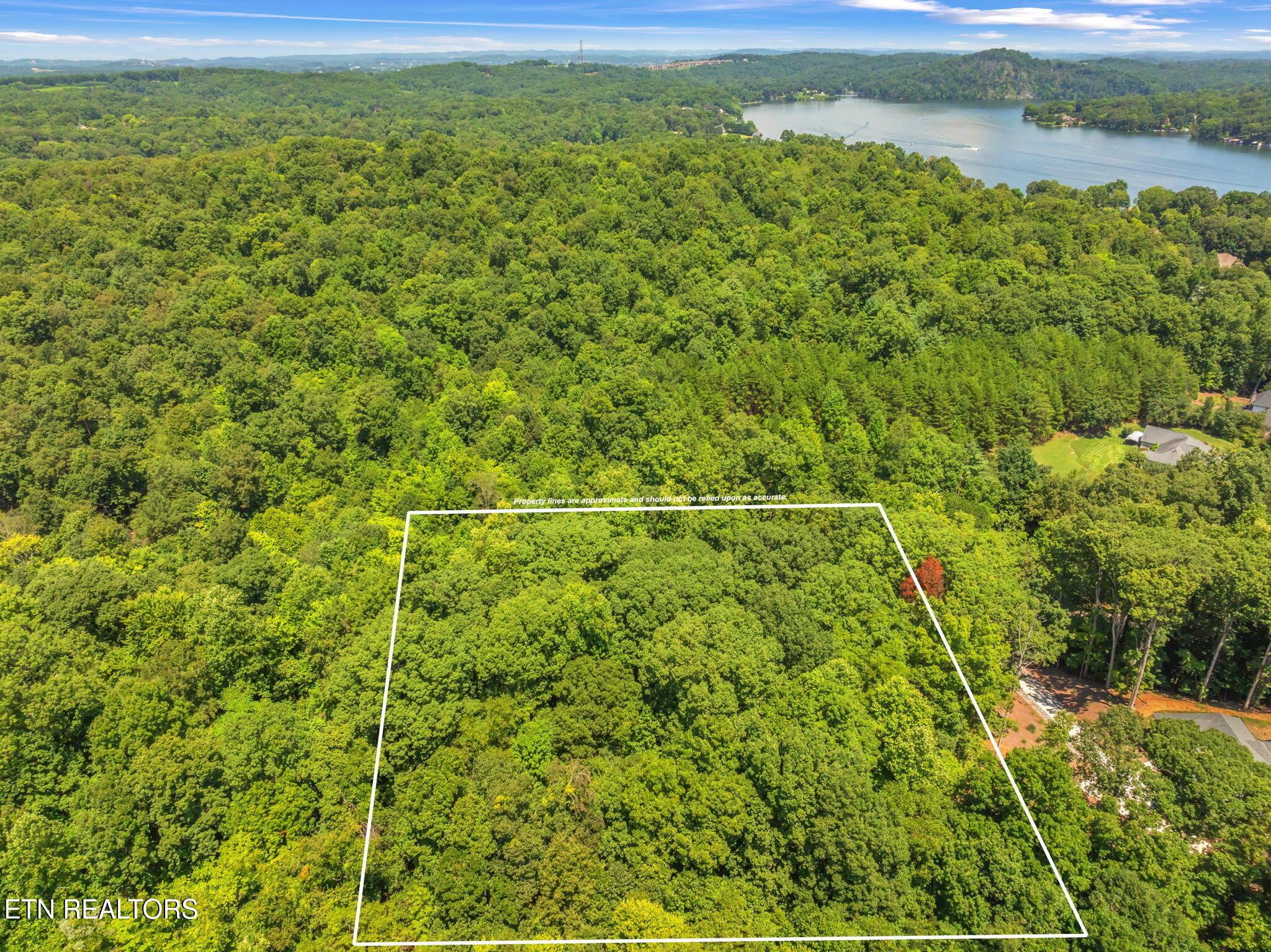Fort Loudoun and Tellico Lake Real Estate - Image# 13
