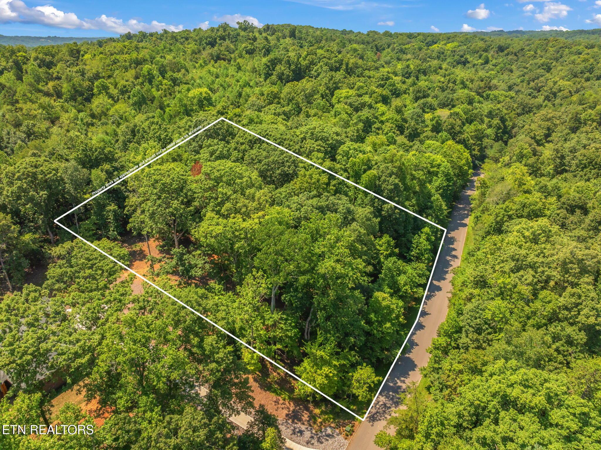 Fort Loudoun and Tellico Lake Real Estate - Image# 9
