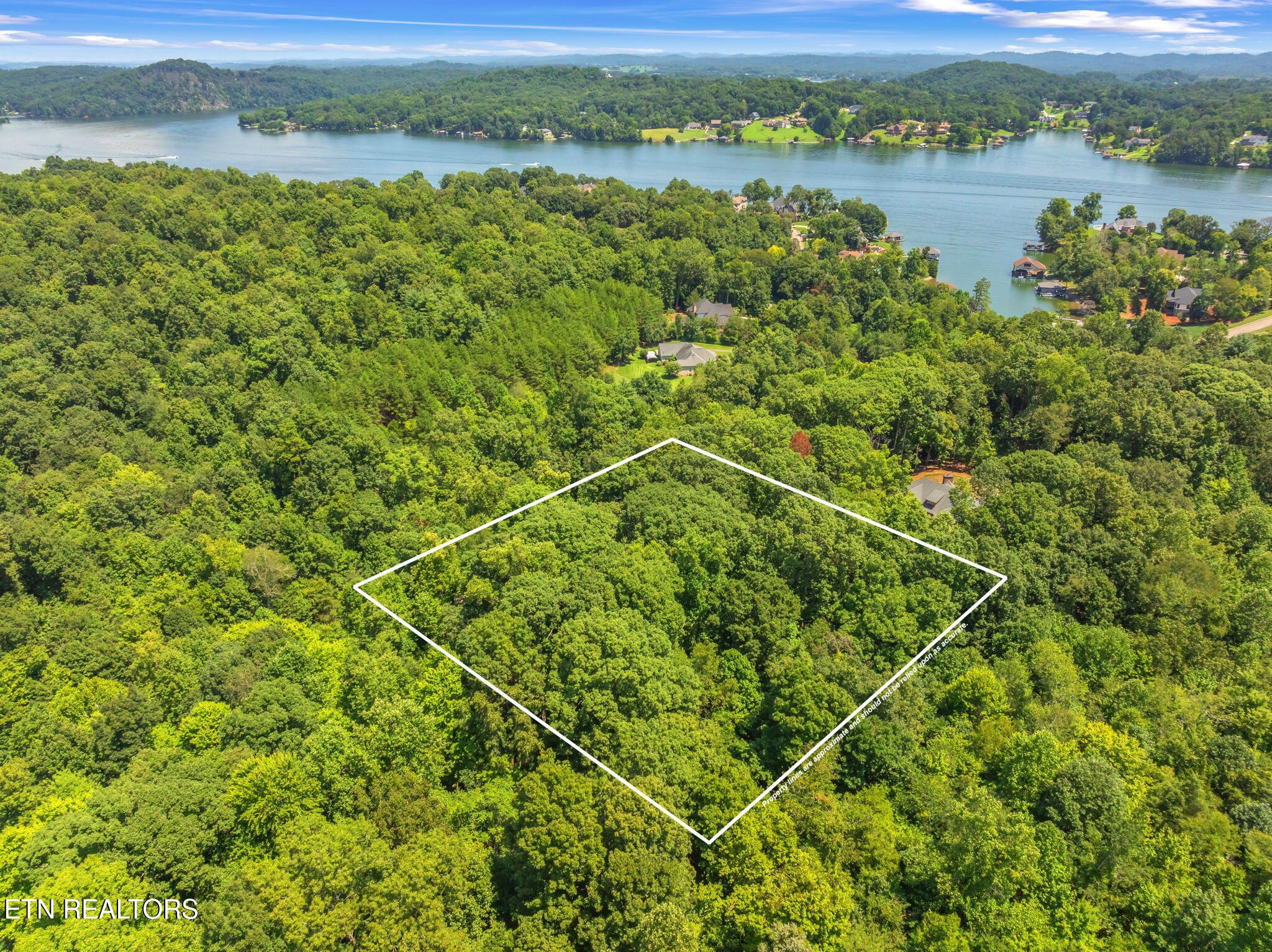 Fort Loudoun and Tellico Lake Real Estate - Image# 14