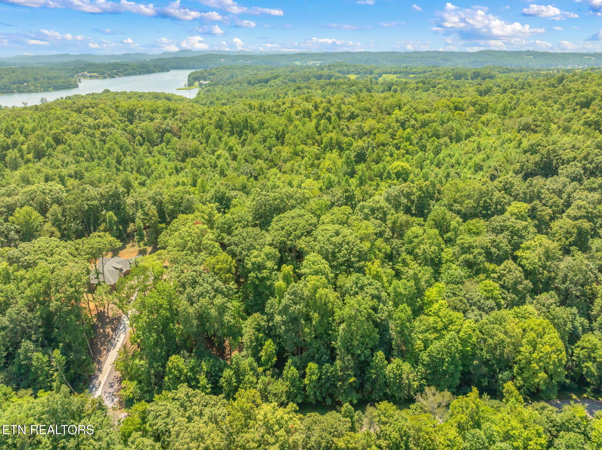 Fort Loudoun and Tellico Lake Real Estate - Image# 16
