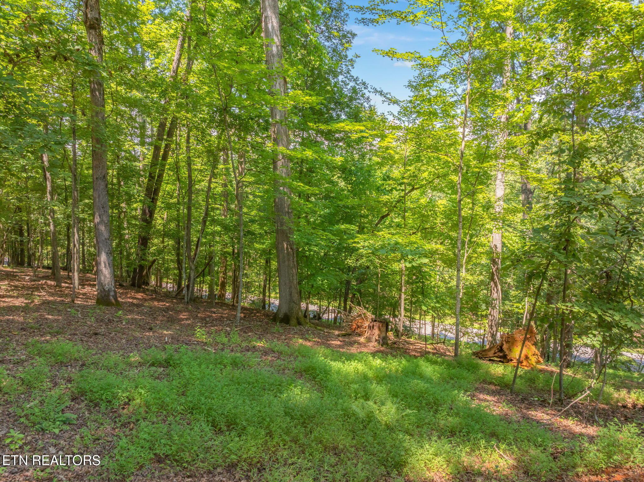 Fort Loudoun and Tellico Lake Real Estate - Image# 11