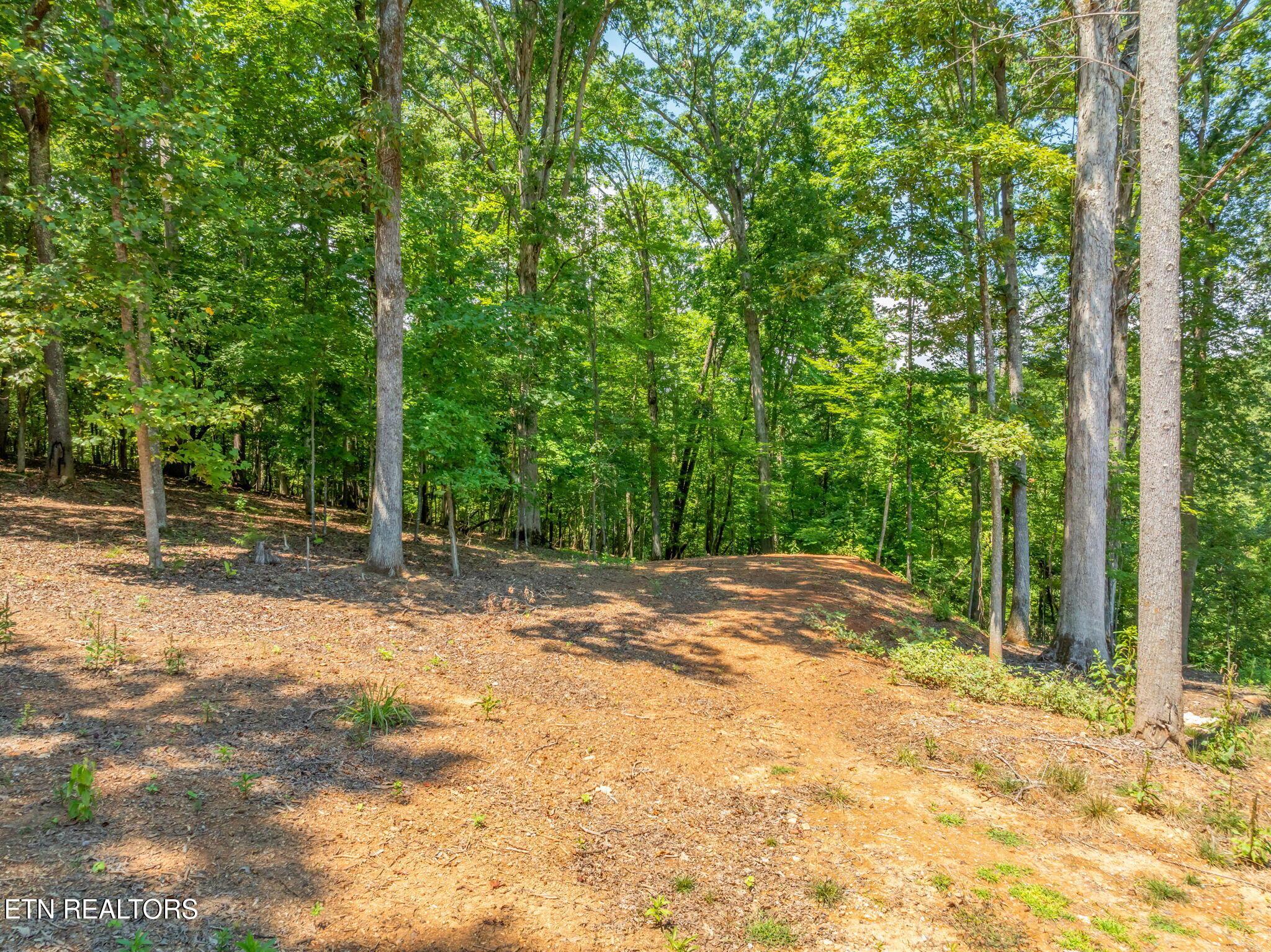 Fort Loudoun and Tellico Lake Real Estate - Image# 12