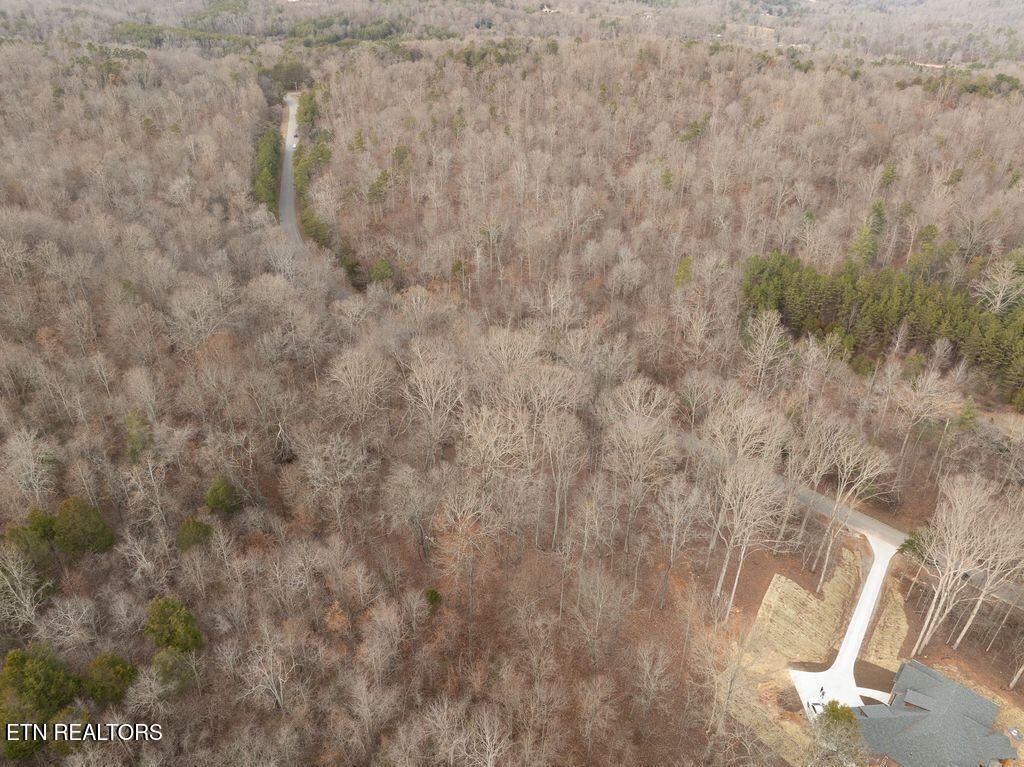 Fort Loudoun and Tellico Lake Real Estate - Image# 18