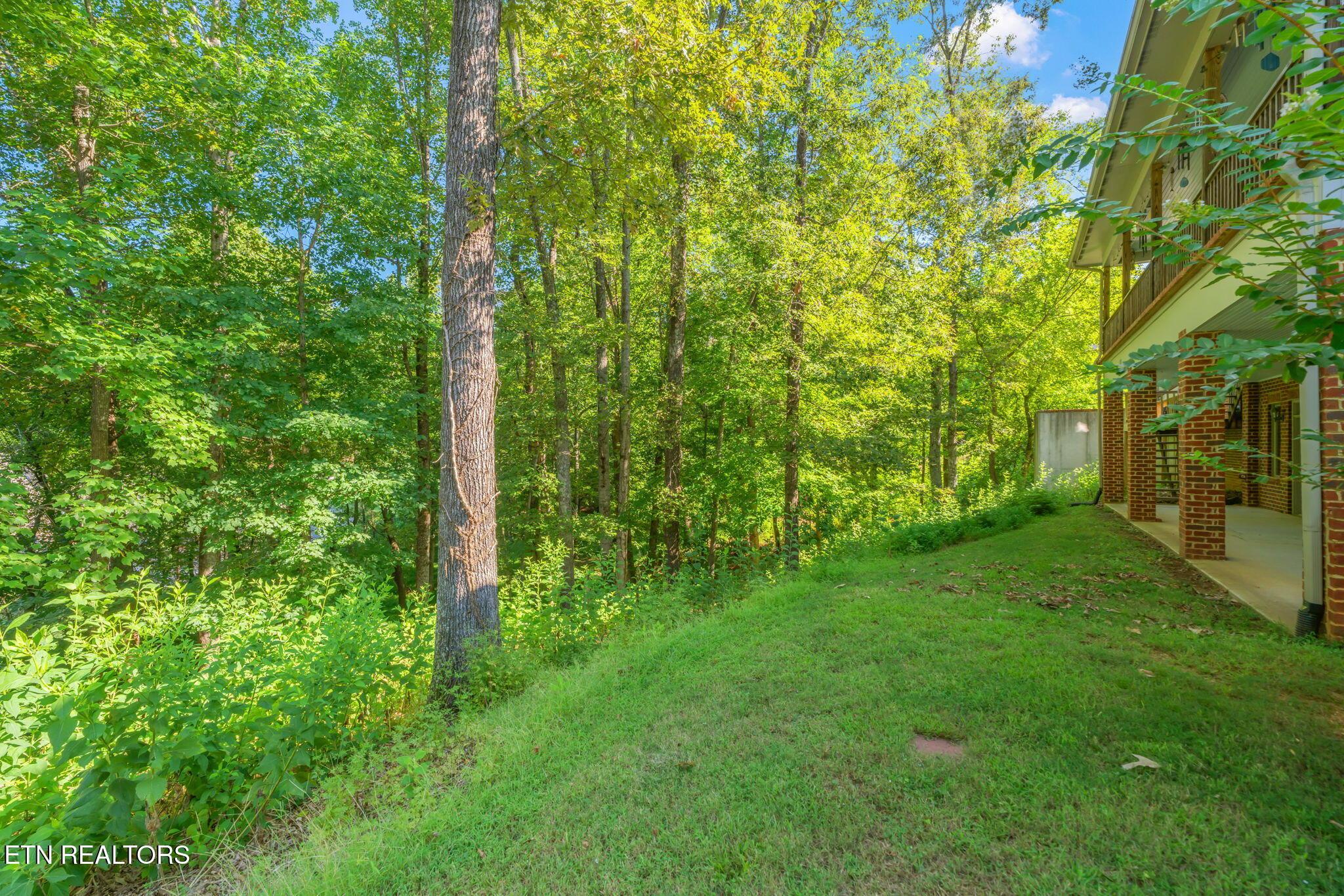 Fort Loudoun and Tellico Lake Real Estate - Image# 53