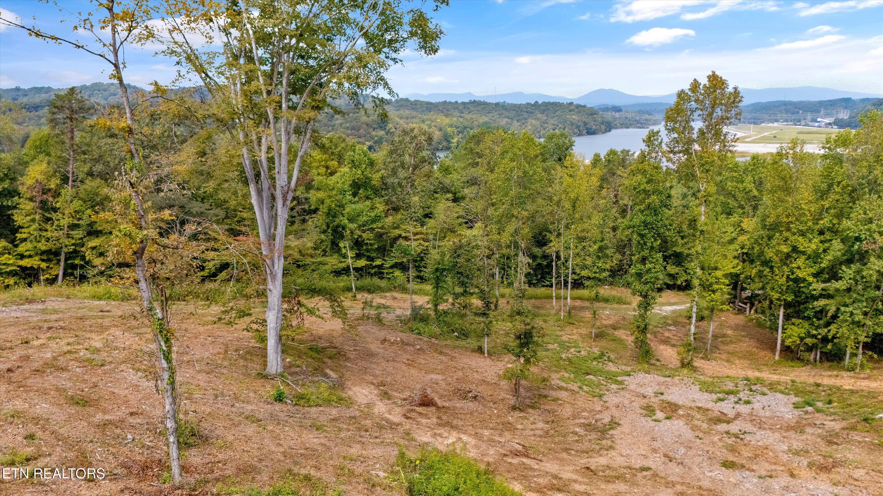 315 Tobby Hollow Lane, Knoxville, TN - Fort Loudoun and Tellico Lake Real Estate - Image# 1