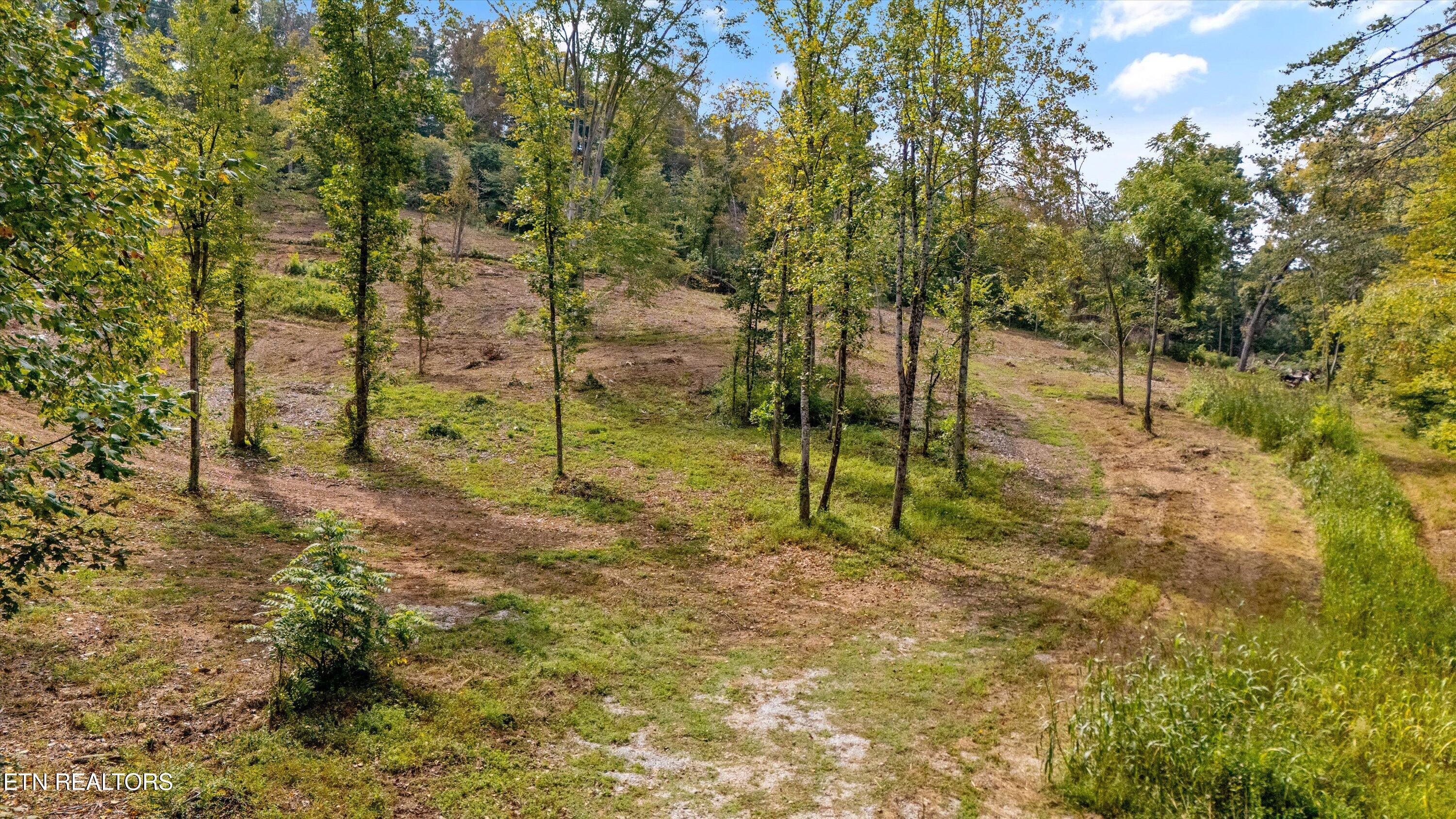 315 Tobby Hollow Lane, Knoxville, TN - Fort Loudoun and Tellico Lake Real Estate - Image# 2