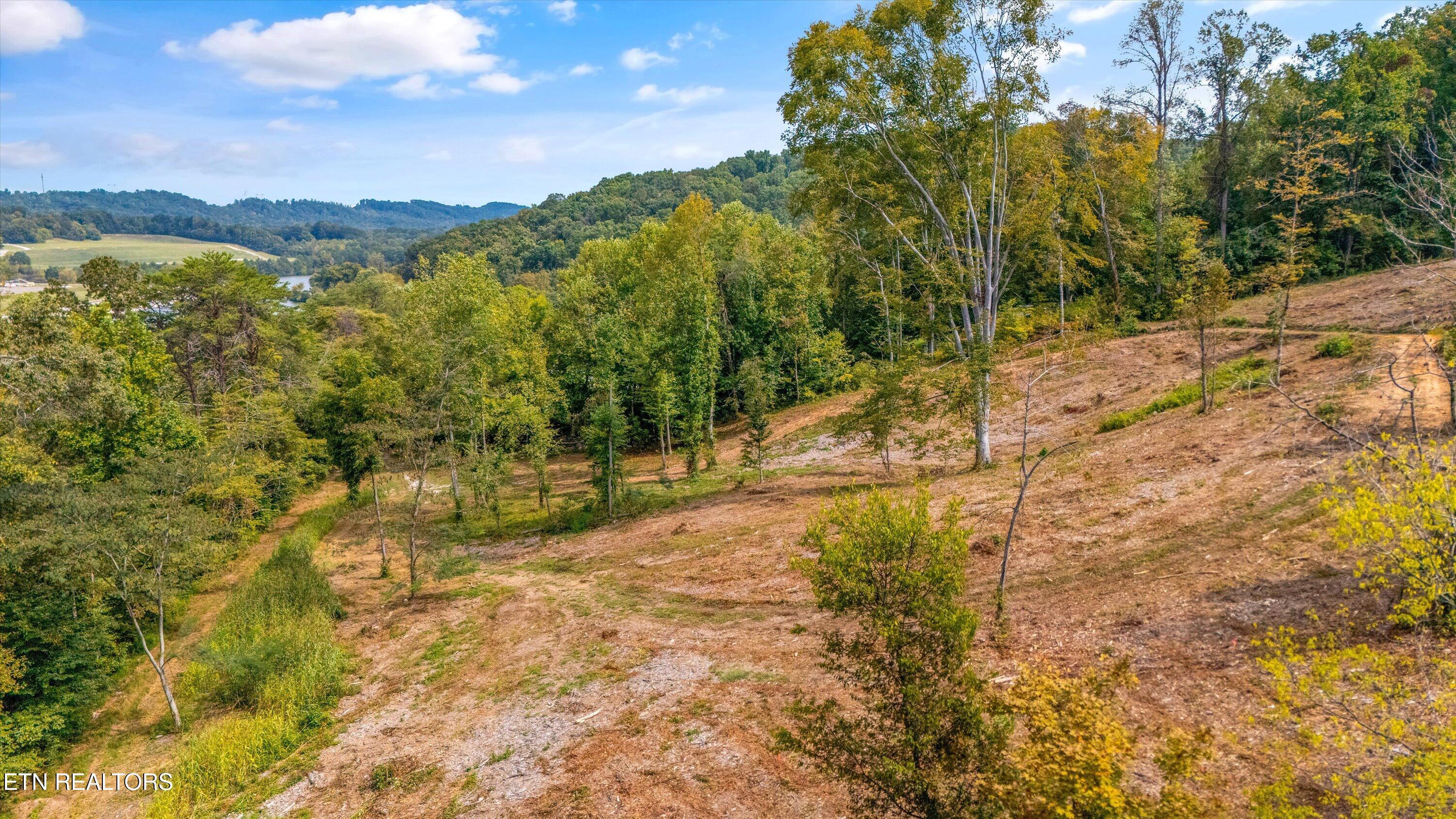 315 Tobby Hollow Lane, Knoxville, TN - Fort Loudoun and Tellico Lake Real Estate - Image# 4