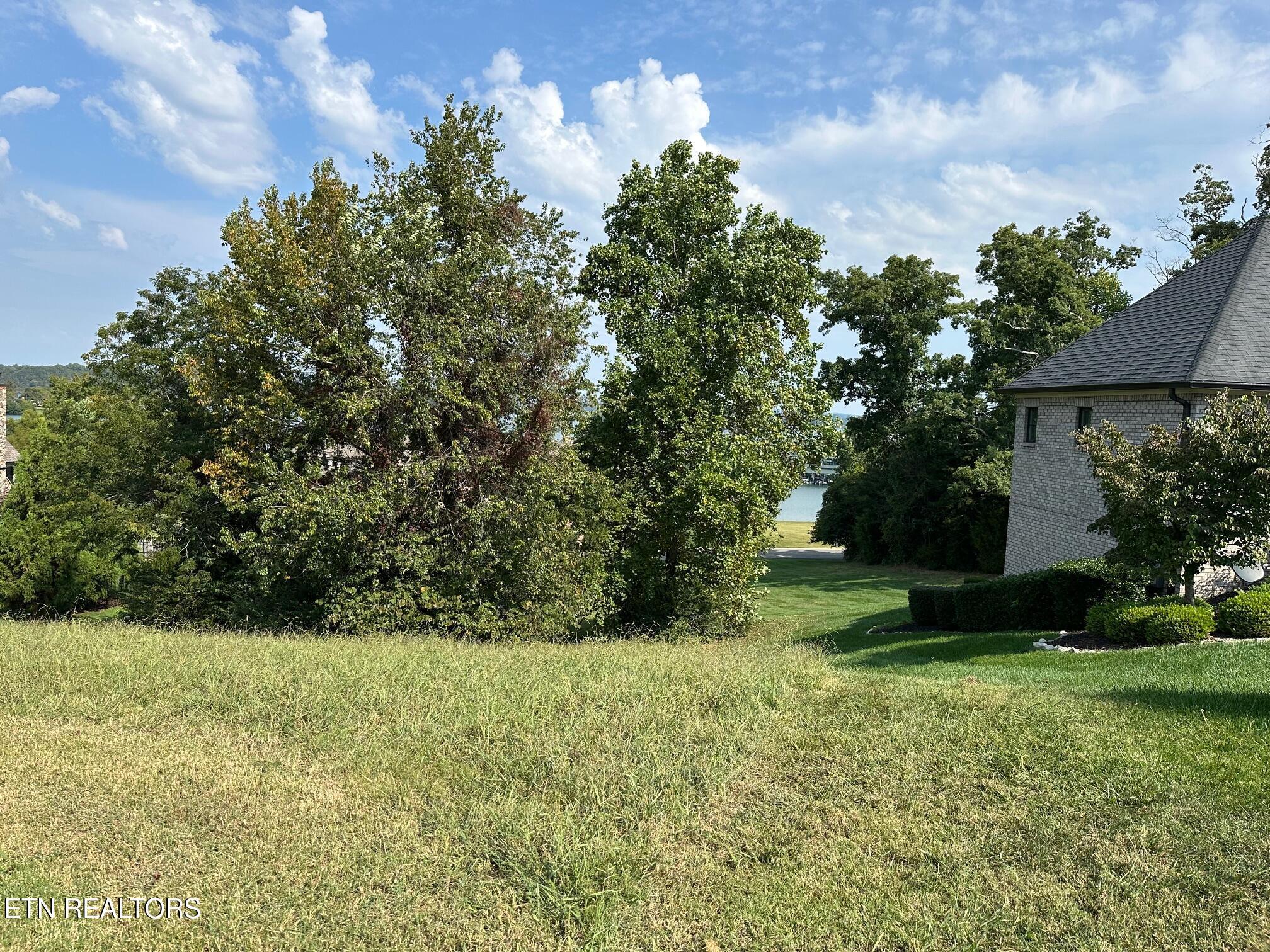 375 Champions Way, Lenoir City, TN - Fort Loudoun and Tellico Lake Real Estate - Image# 3