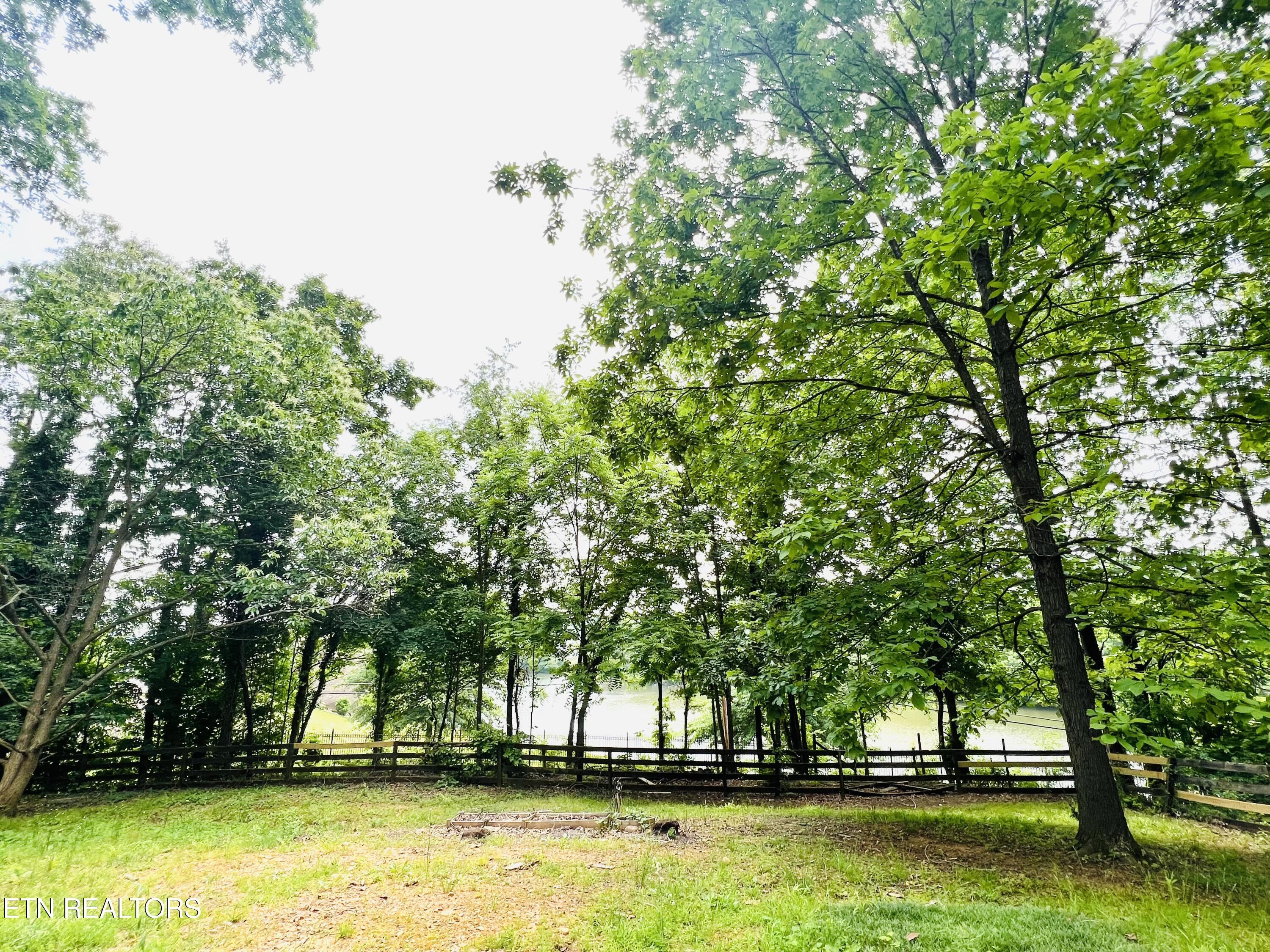 3401 SW Raines Lane, Knoxville, TN - Fort Loudoun and Tellico Lake Real Estate - Image# 8
