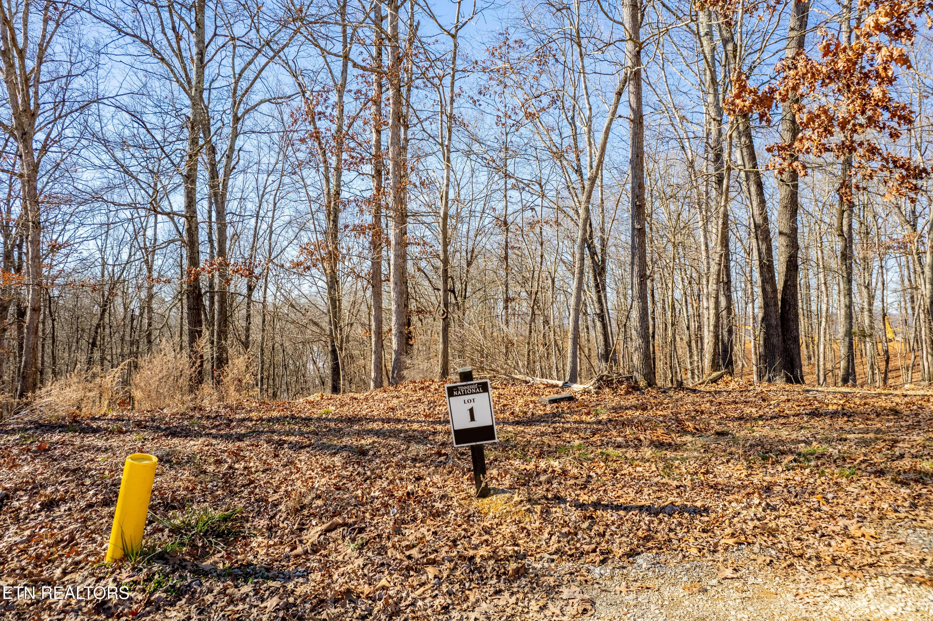 2501 Old Dogwood Tr, Loudon, TN - Fort Loudoun and Tellico Lake Real Estate - Image# 8