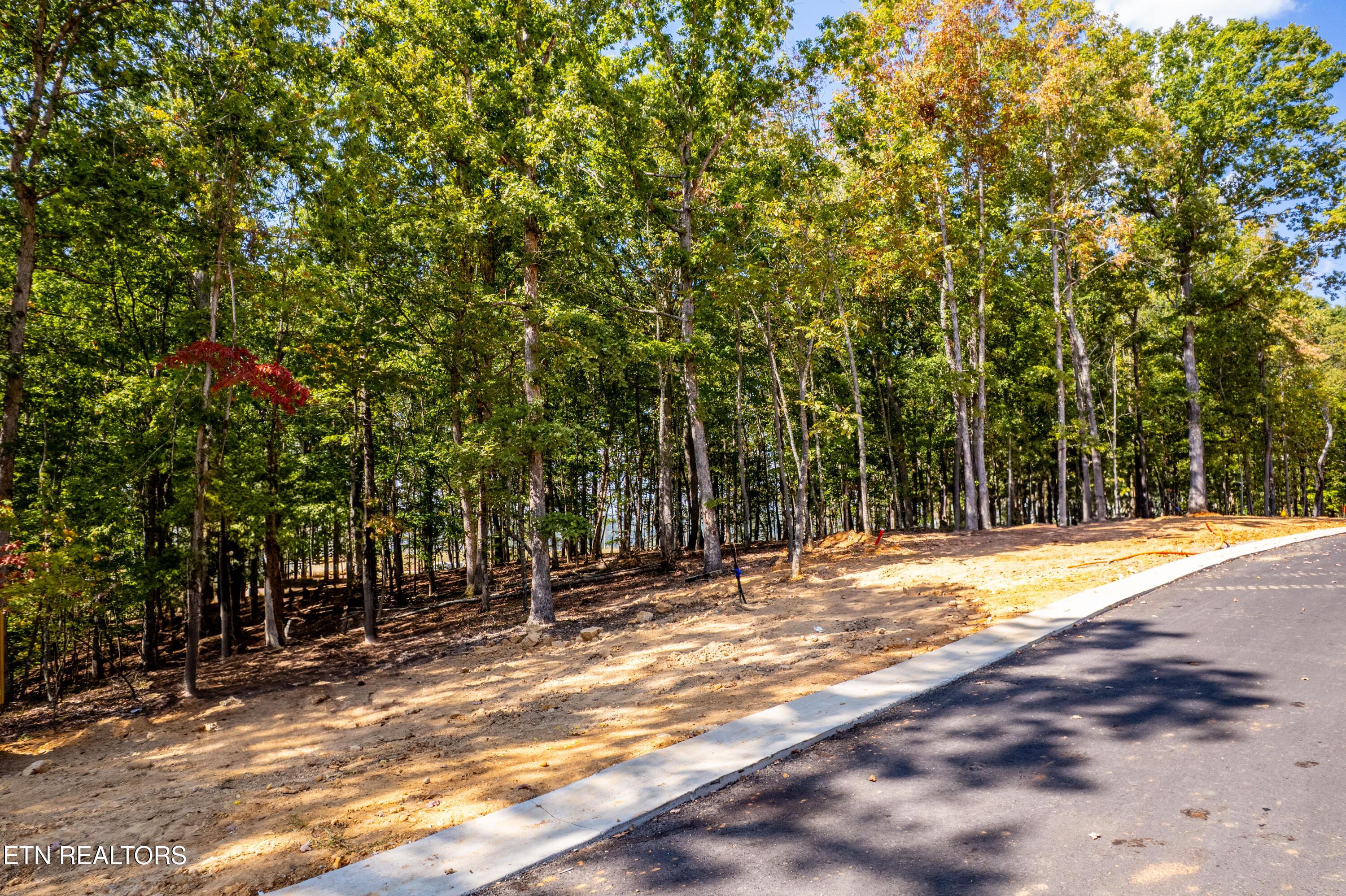 2501 Old Dogwood Tr, Loudon, TN - Fort Loudoun and Tellico Lake Real Estate - Image# 5