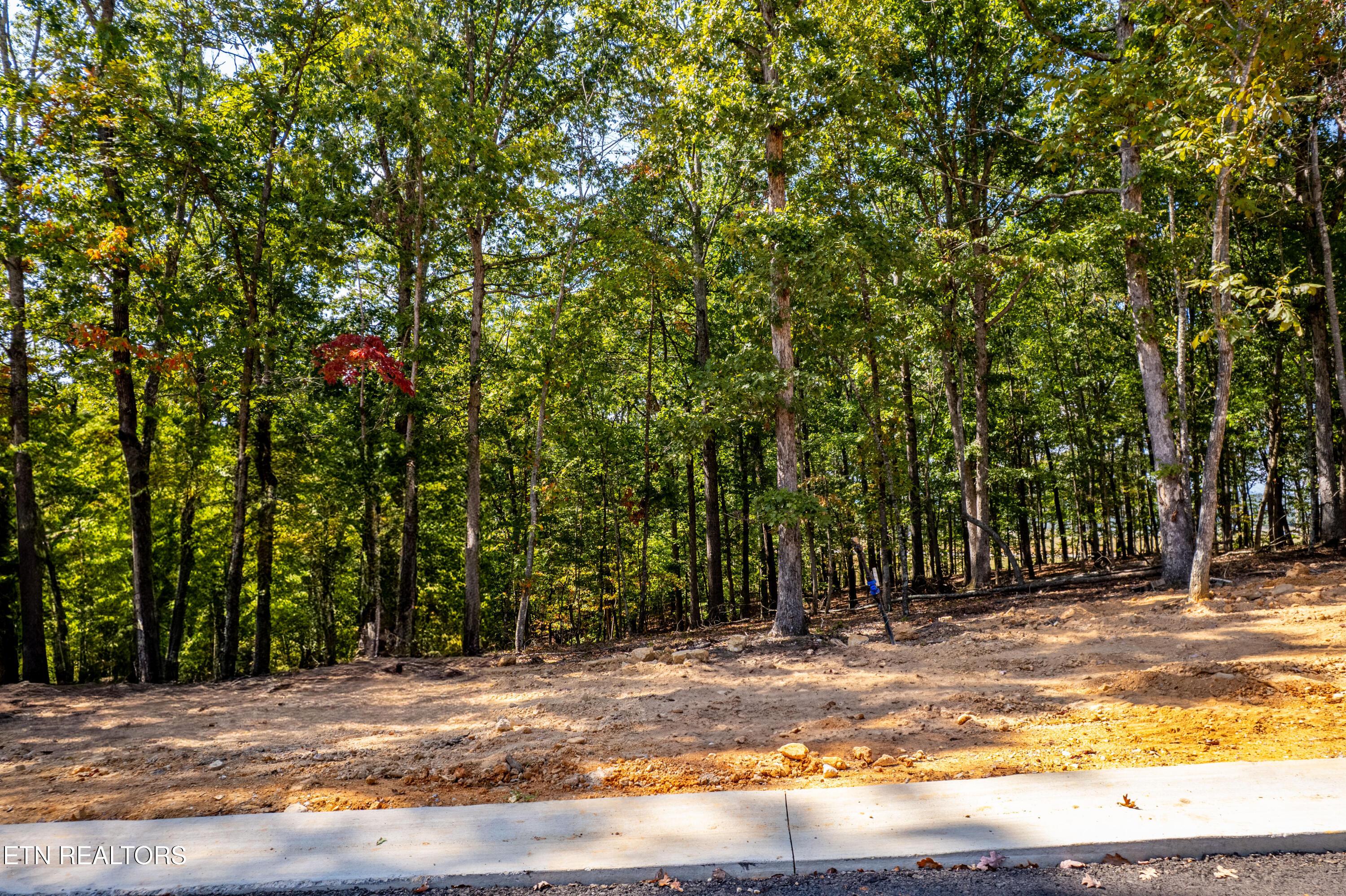 2501 Old Dogwood Tr, Loudon, TN - Fort Loudoun and Tellico Lake Real Estate - Image# 4