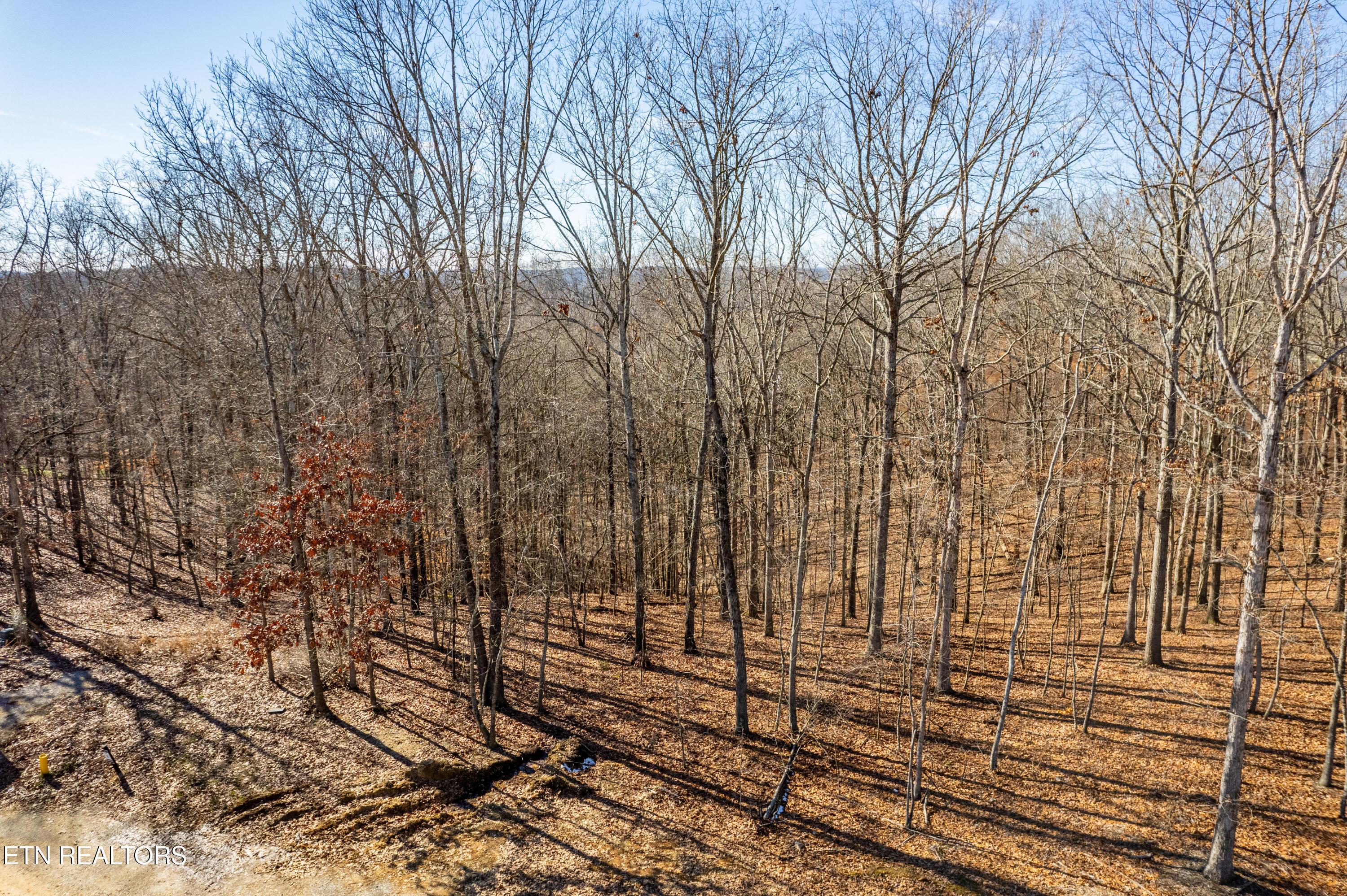 2501 Old Dogwood Tr, Loudon, TN - Fort Loudoun and Tellico Lake Real Estate - Image# 10