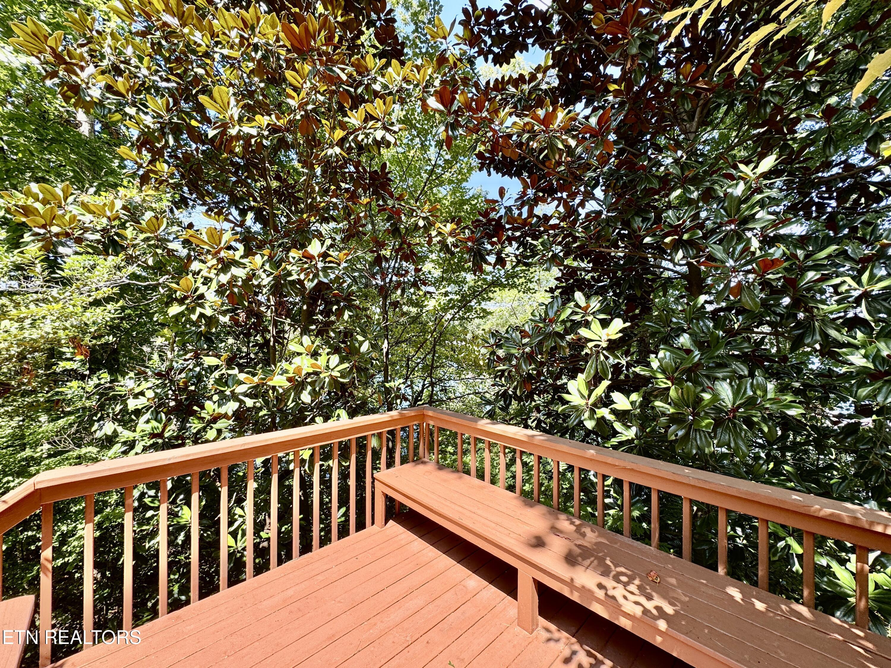 207 Chickasaw Lane, Loudon, TN - Fort Loudoun and Tellico Lake Real Estate - Image# 19