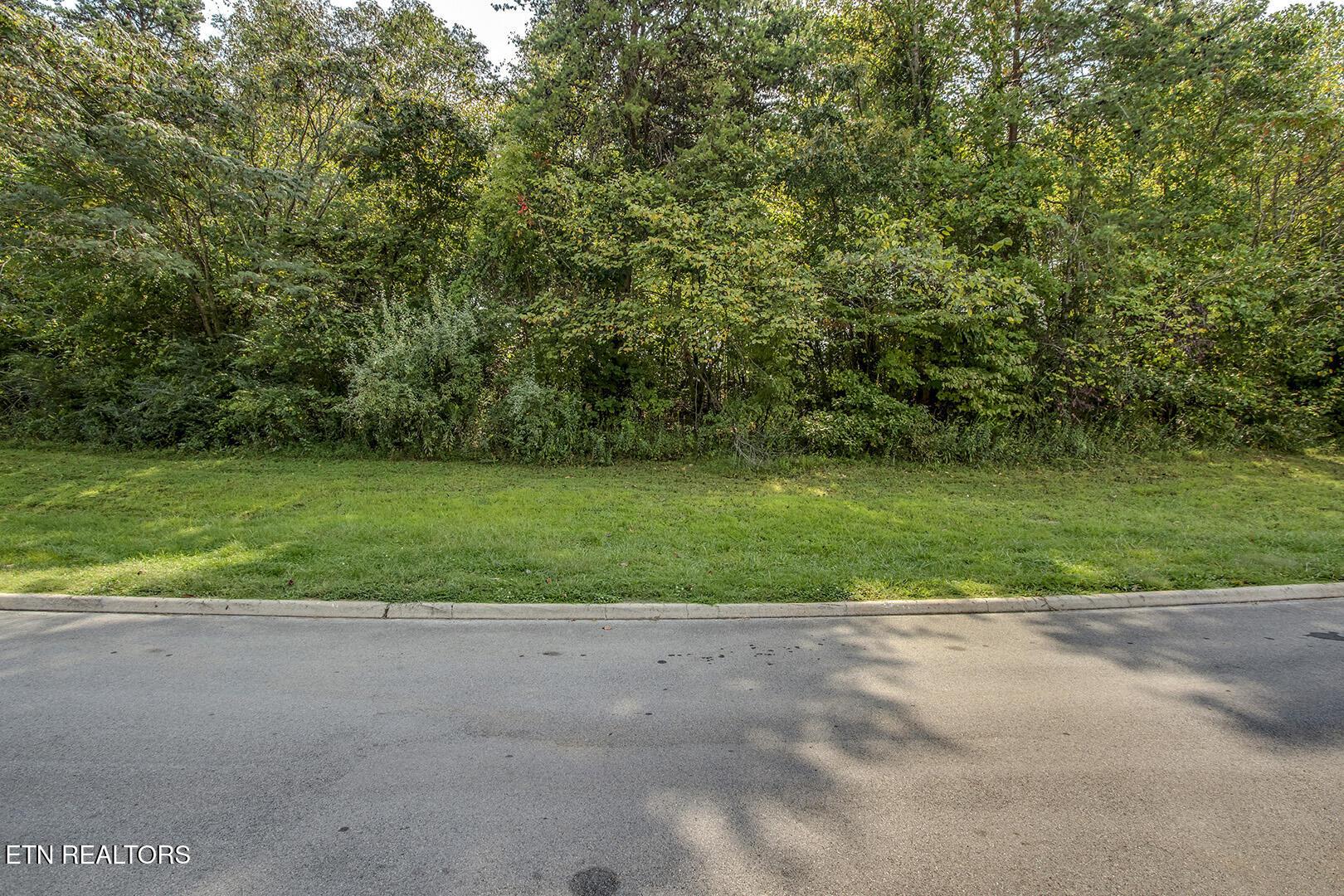 650 Sandpiper Drive Drive, Vonore, TN - Fort Loudoun and Tellico Lake Real Estate - Image# 2