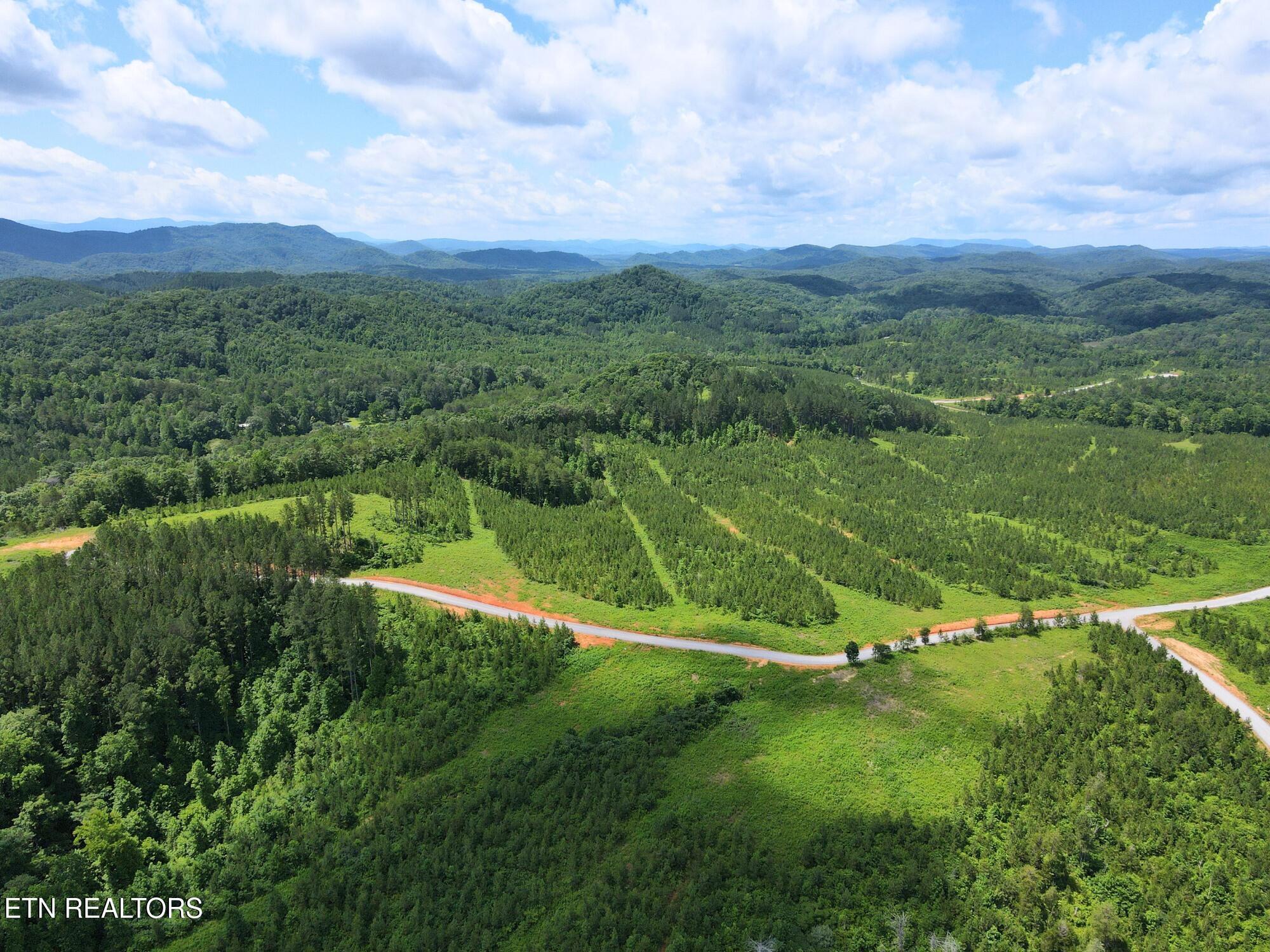 Lot 54 Three Point Rd, Vonore, TN - Fort Loudoun and Tellico Lake Real Estate - Image# 20