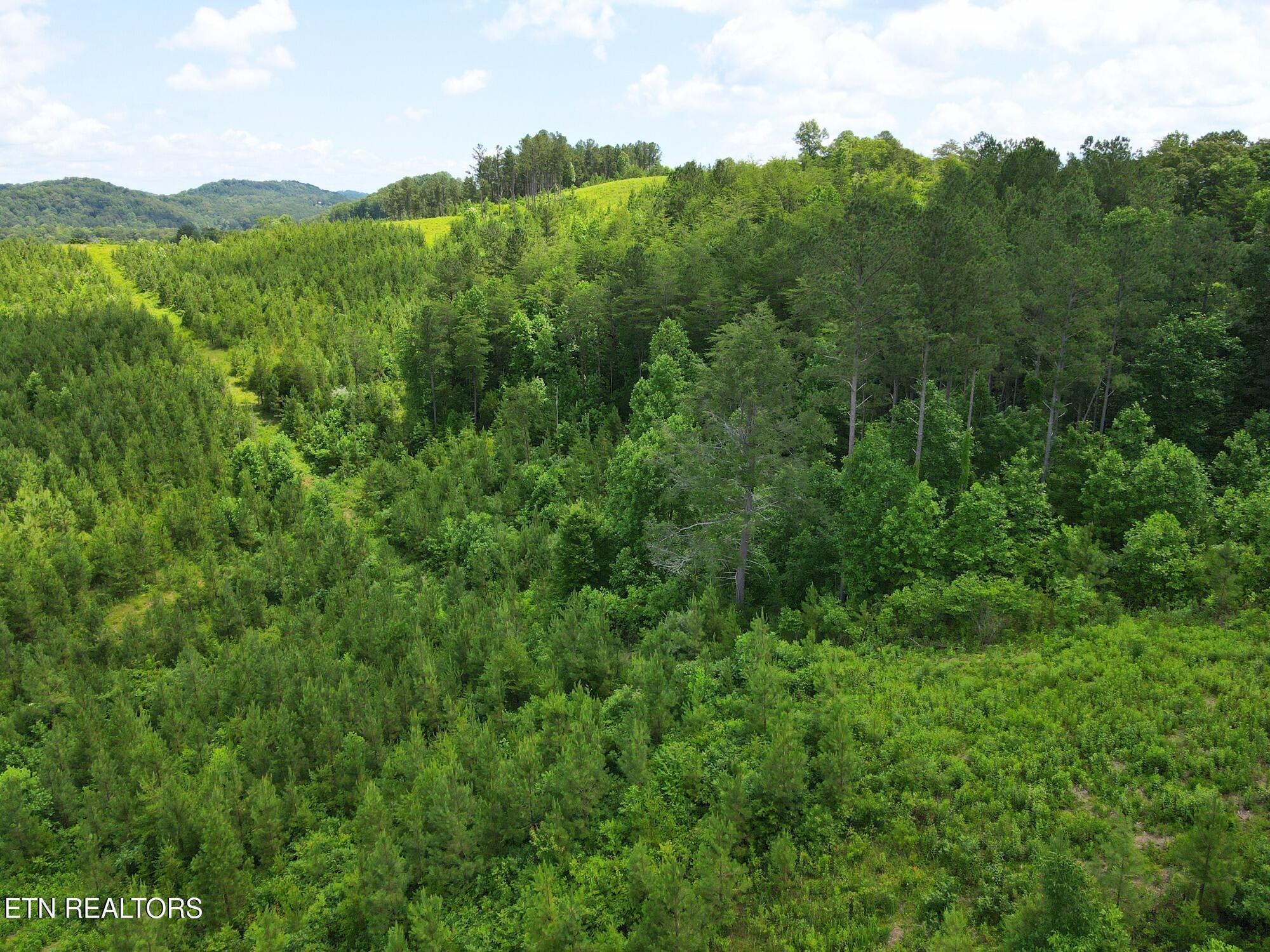 Lot 54 Three Point Rd, Vonore, TN - Fort Loudoun and Tellico Lake Real Estate - Image# 4