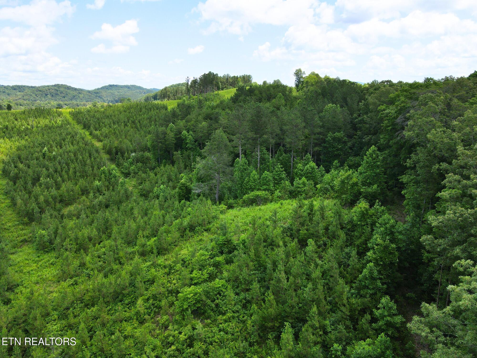 Lot 54 Three Point Rd, Vonore, TN - Fort Loudoun and Tellico Lake Real Estate - Image# 5