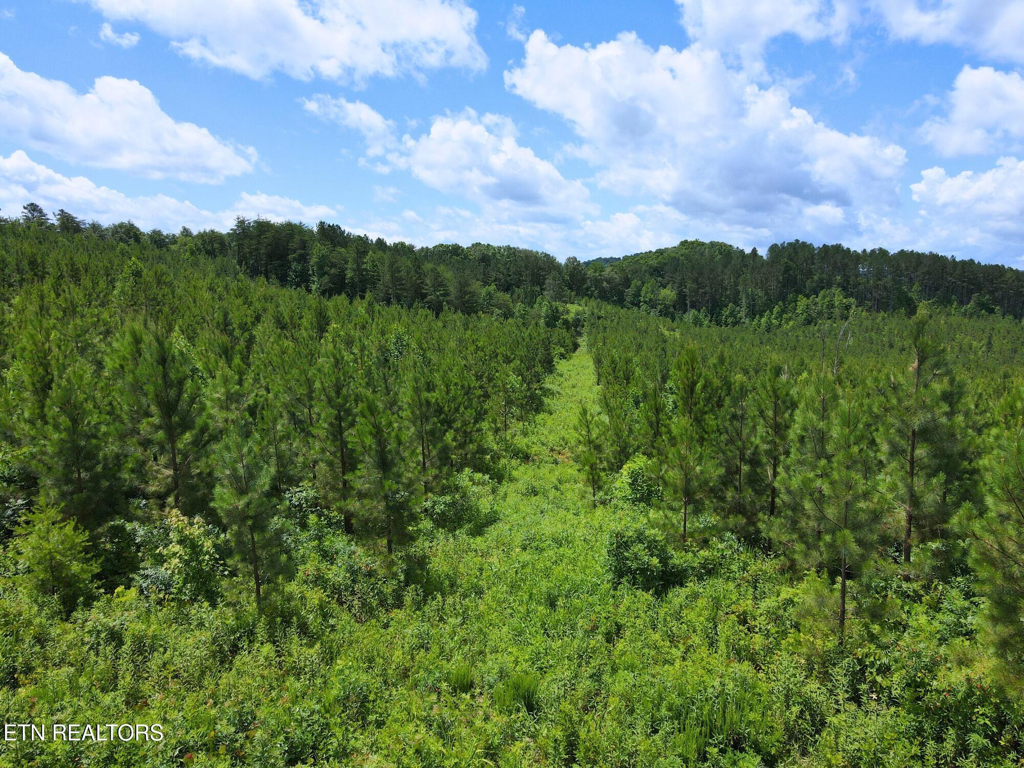 Lot 54 Three Point Rd, Vonore, TN - Fort Loudoun and Tellico Lake Real Estate - Image# 3