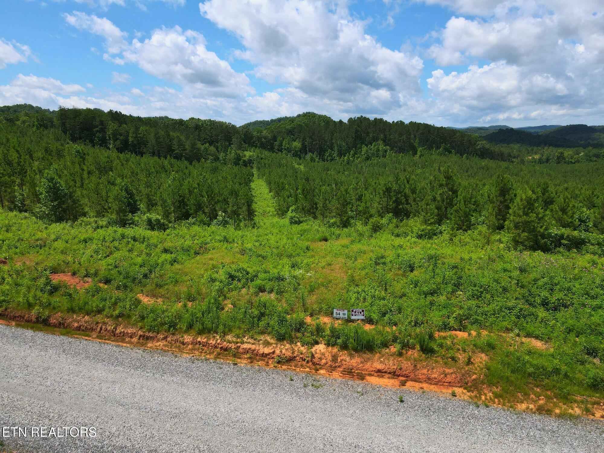 Lot 54 Three Point Rd, Vonore, TN - Fort Loudoun and Tellico Lake Real Estate - Image# 2