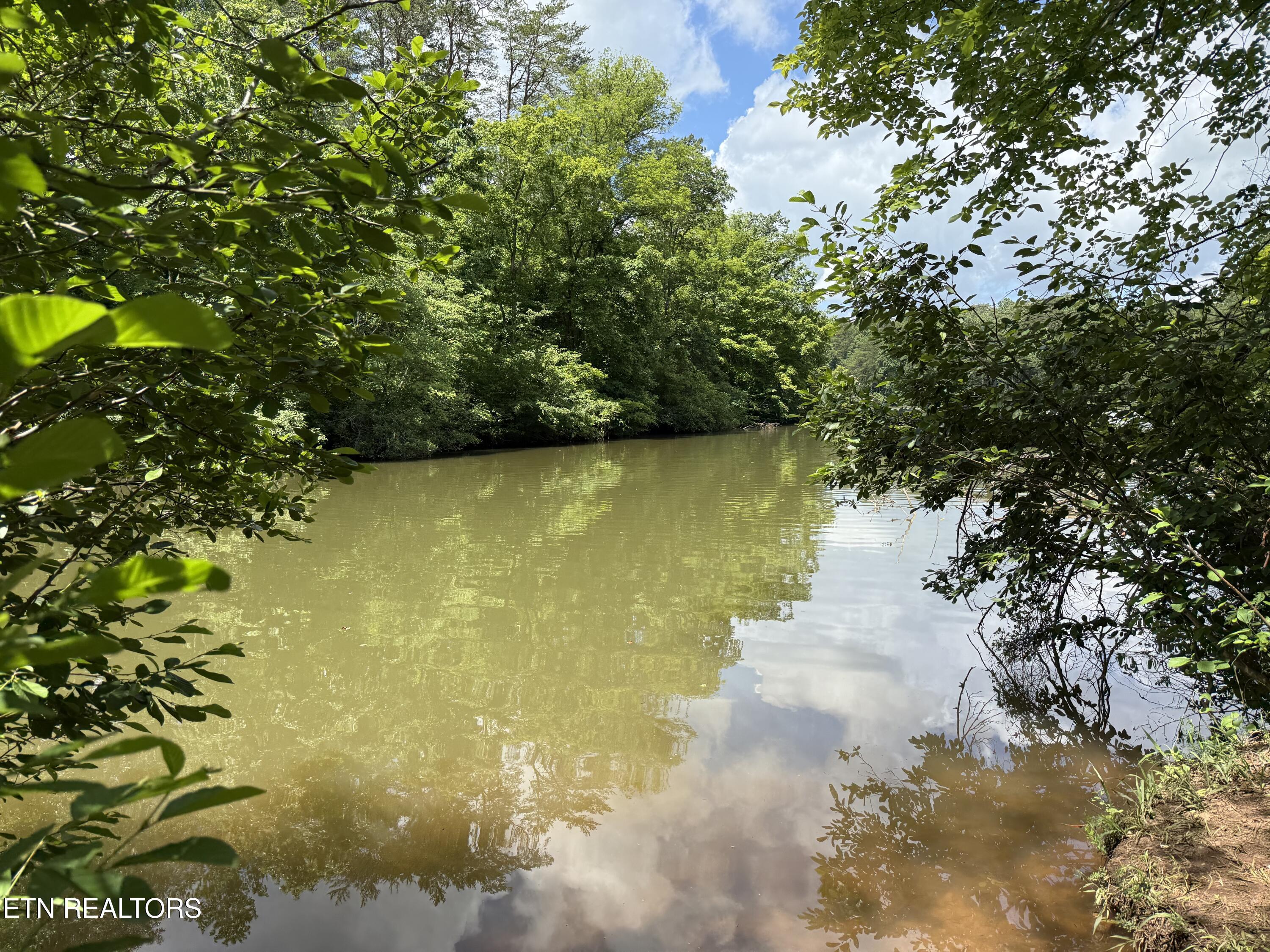 Lot 54 Three Point Rd, Vonore, TN - Fort Loudoun and Tellico Lake Real Estate - Image# 22