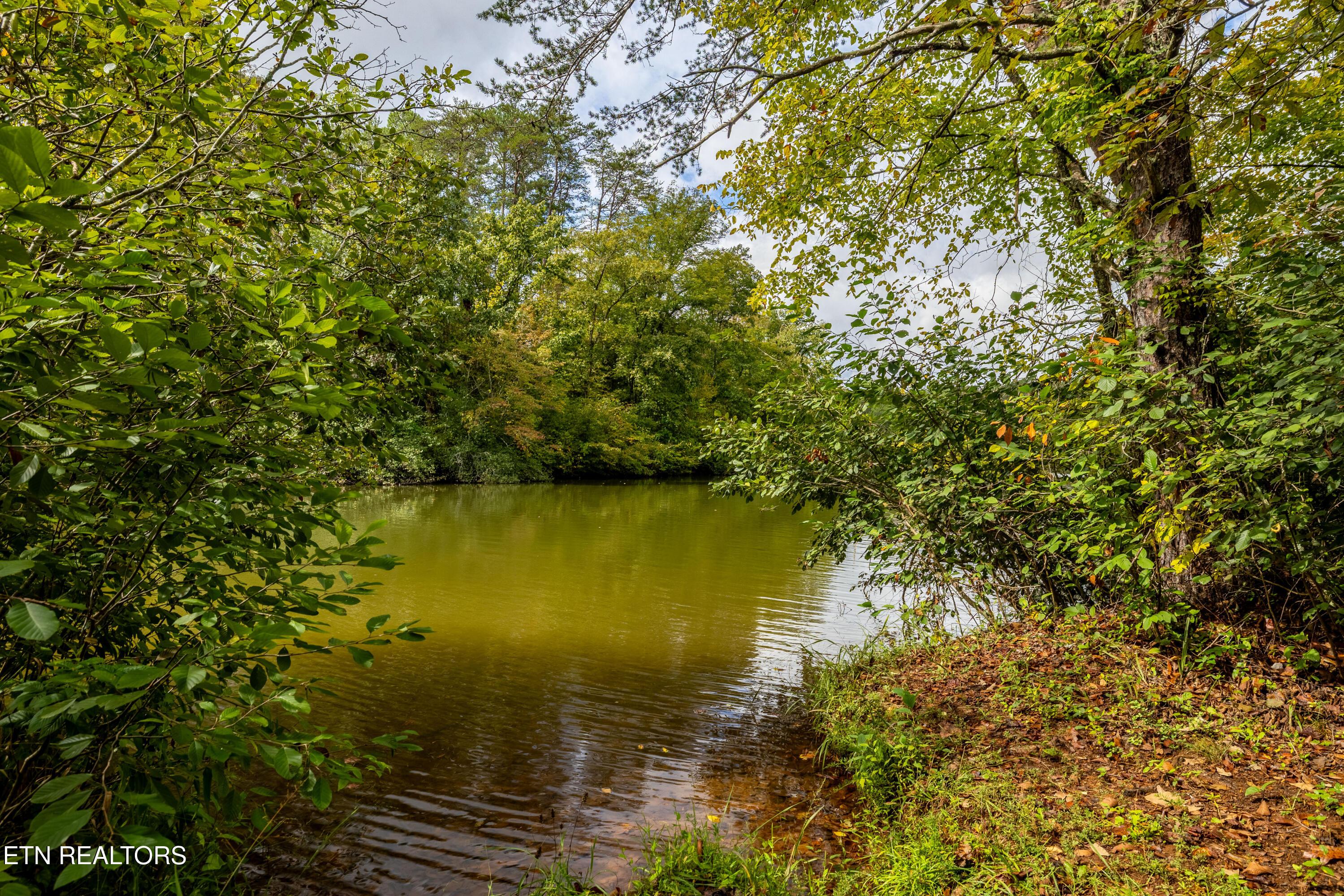Lot 104 Pineview Lane, Vonore, TN - Fort Loudoun and Tellico Lake Real Estate - Image# 17