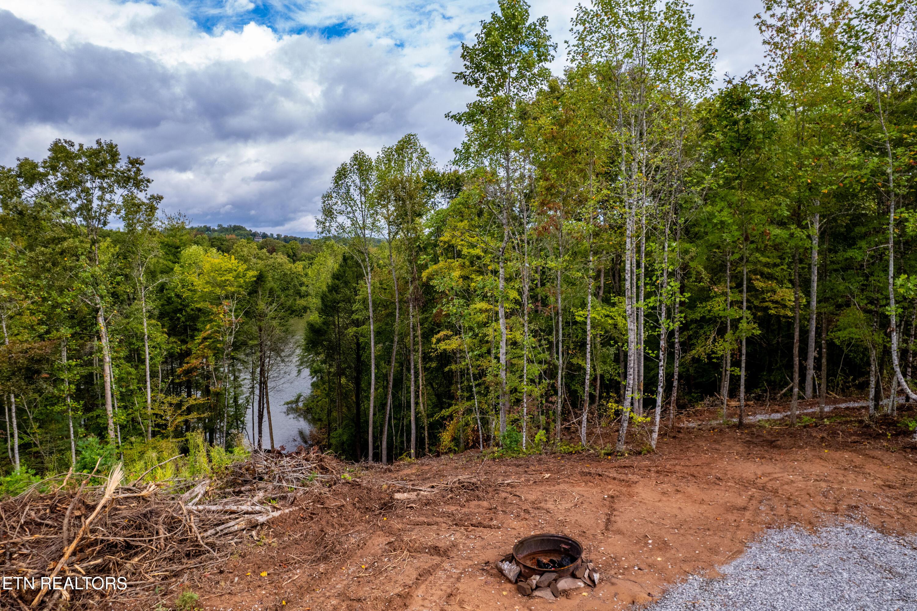 Lot 104 Pineview Lane, Vonore, TN - Fort Loudoun and Tellico Lake Real Estate - Image# 21