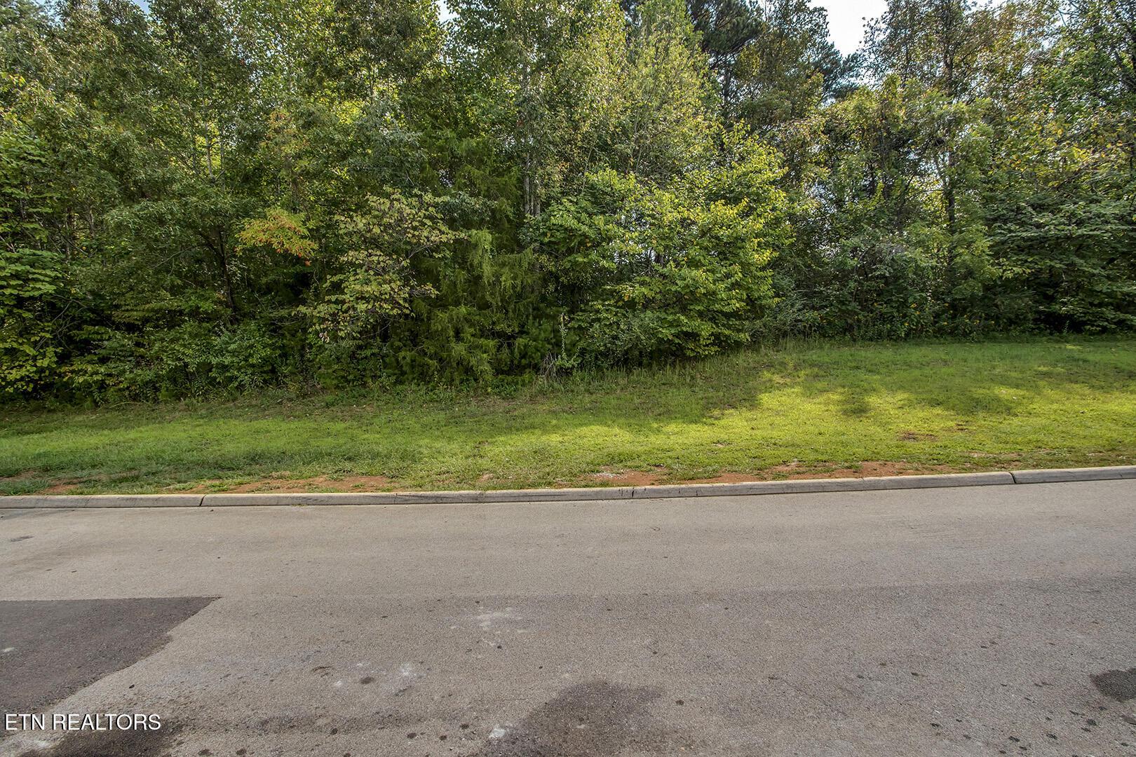 646 Sandpiper Drive, Vonore, TN - Fort Loudoun and Tellico Lake Real Estate - Image# 2