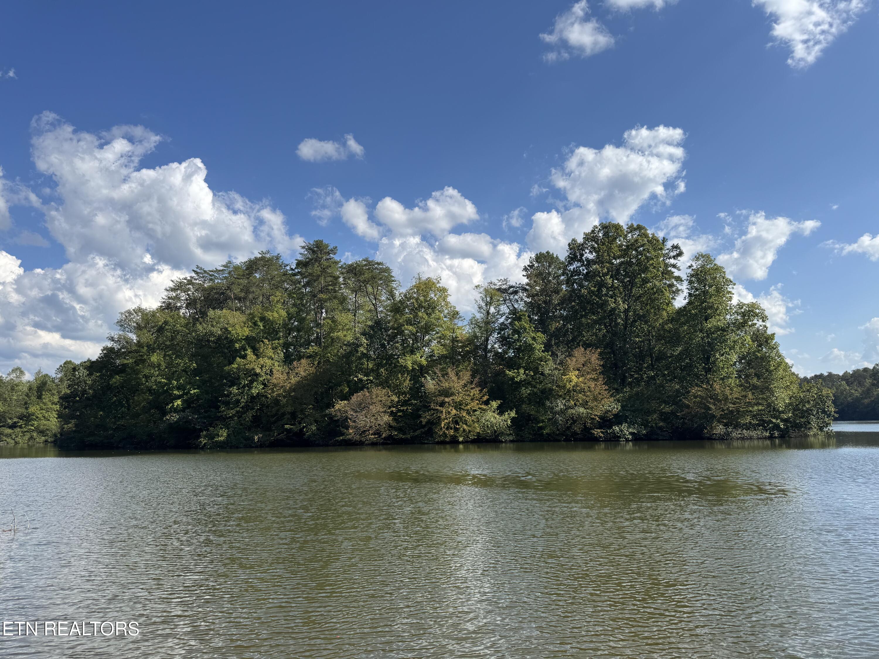 Overlook Drive, Vonore, TN - Fort Loudoun and Tellico Lake Real Estate - Image# 14