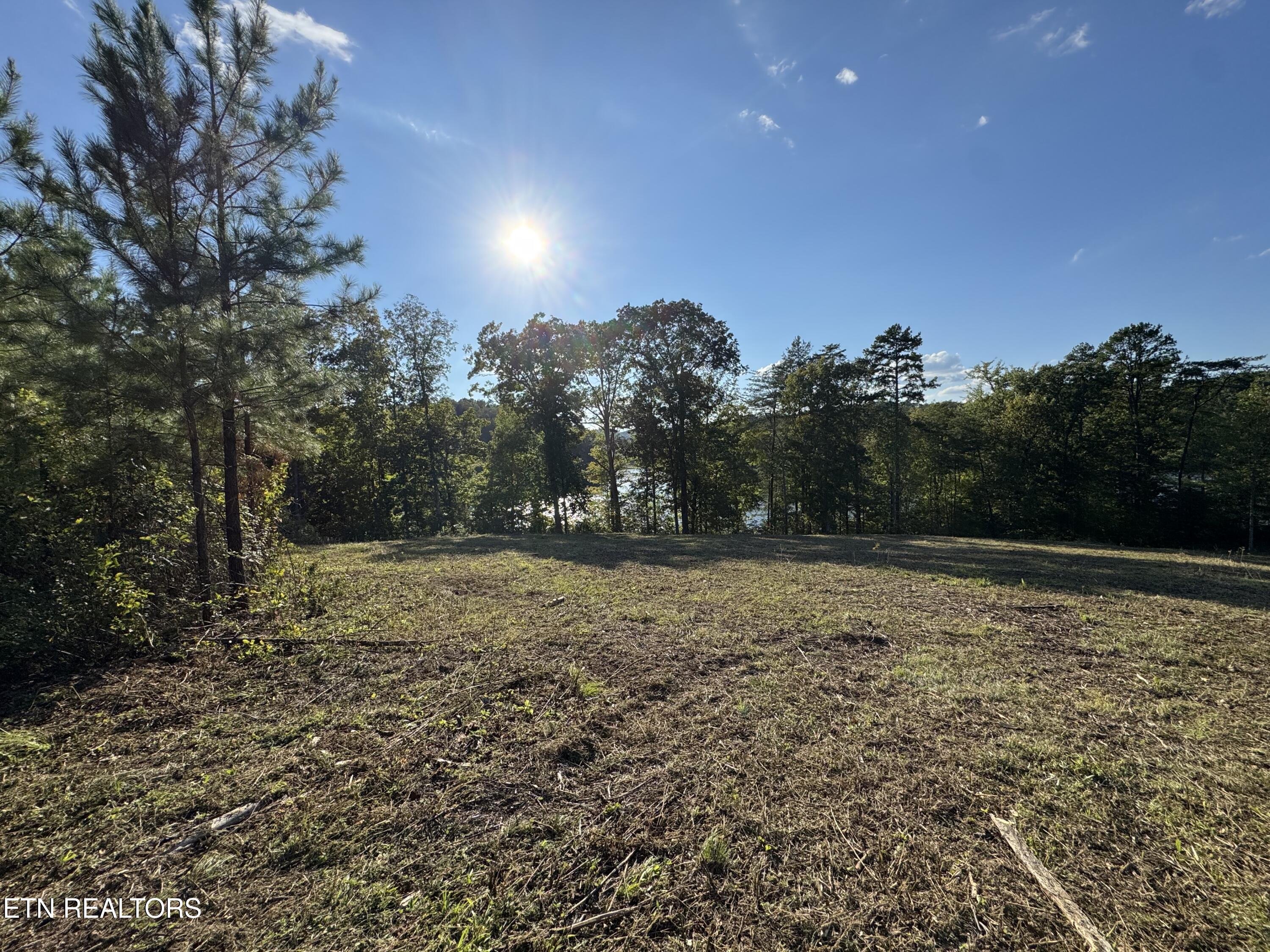 Overlook Drive, Vonore, TN - Fort Loudoun and Tellico Lake Real Estate - Image# 19