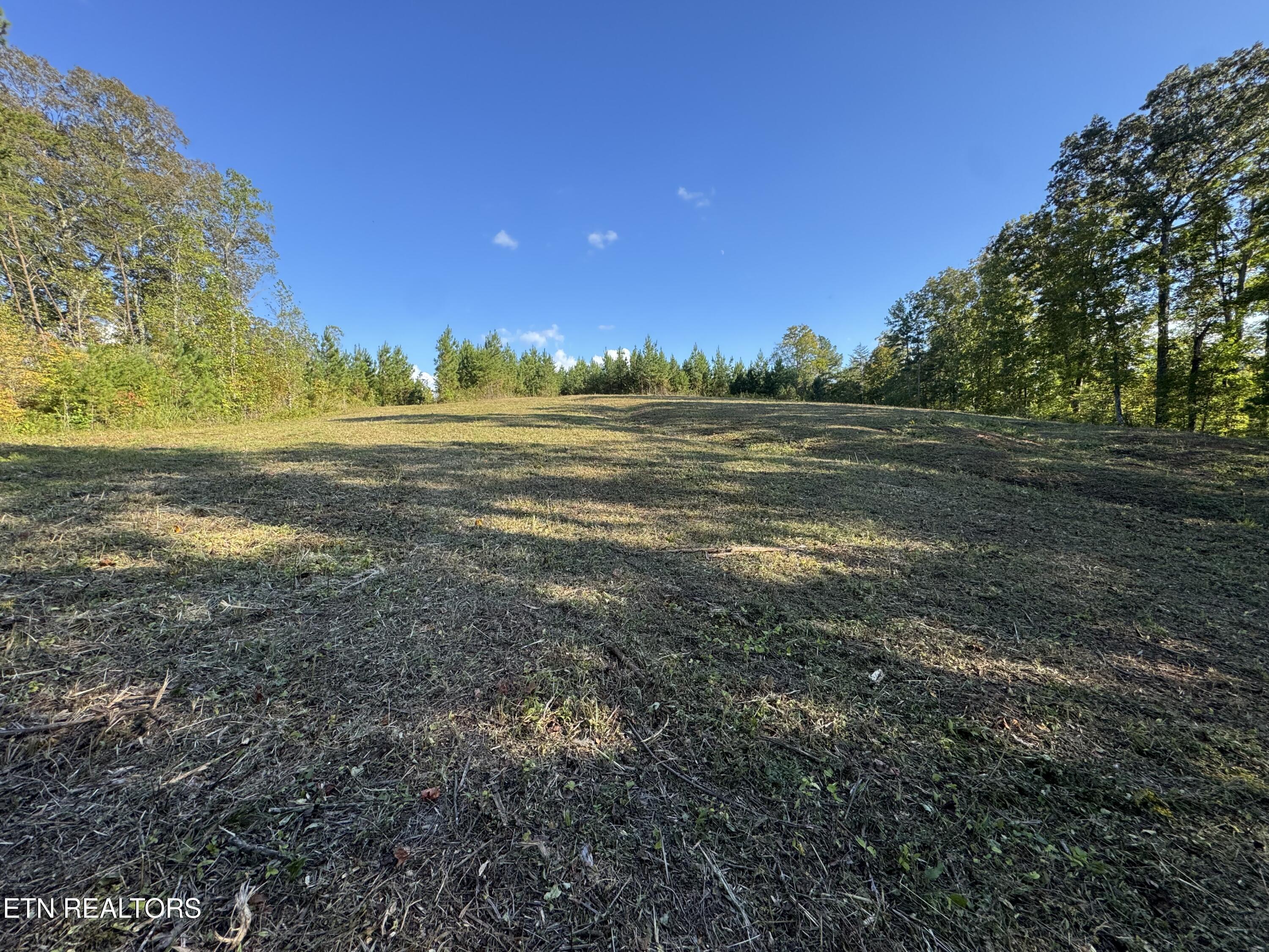 Overlook Drive, Vonore, TN - Fort Loudoun and Tellico Lake Real Estate - Image# 21