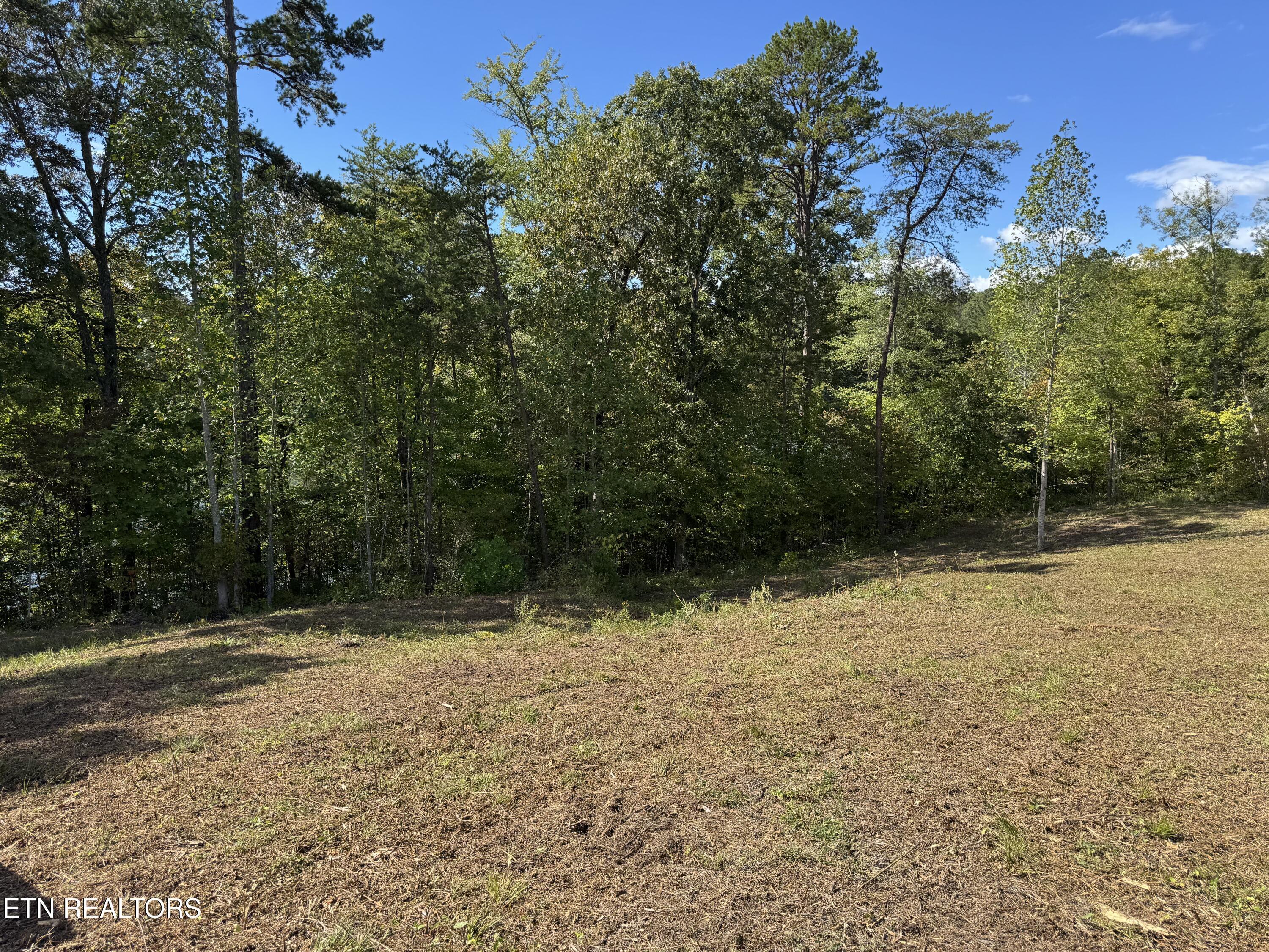 Overlook Drive, Vonore, TN - Fort Loudoun and Tellico Lake Real Estate - Image# 20