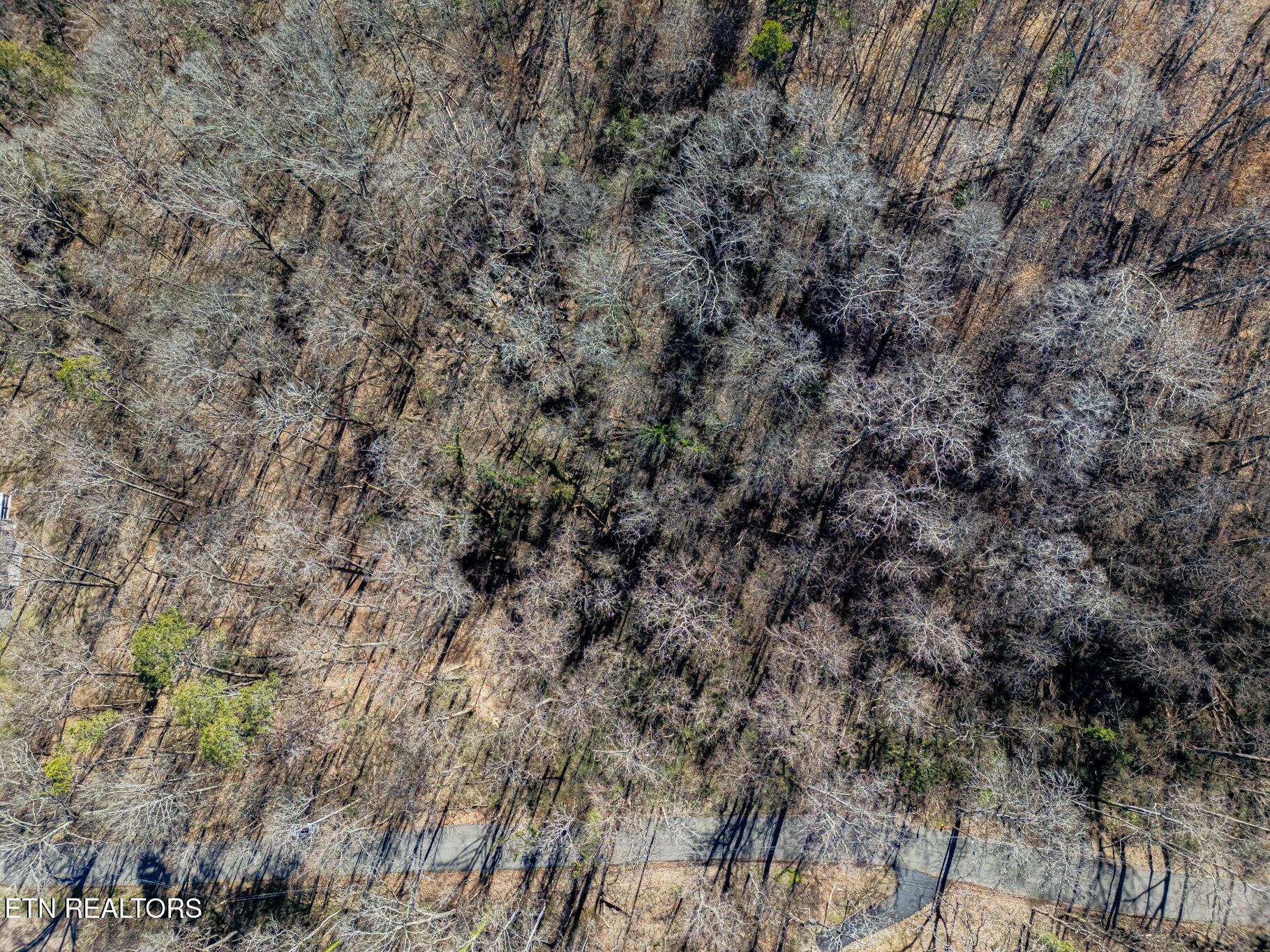 4921 Wise Hills Rd, Knoxville, TN - Fort Loudoun and Tellico Lake Real Estate - Image# 9